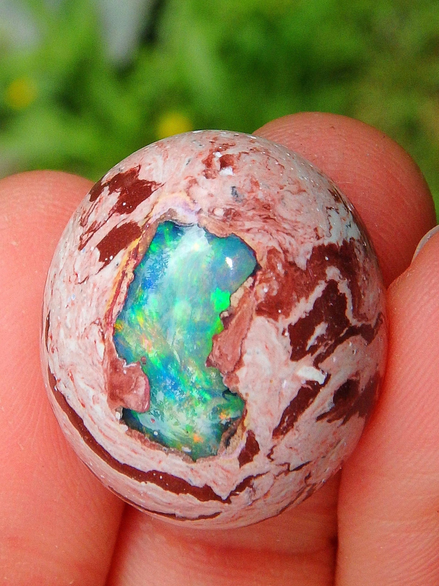  Beautiful Sparkle Mexican Fire Opal Cabochon