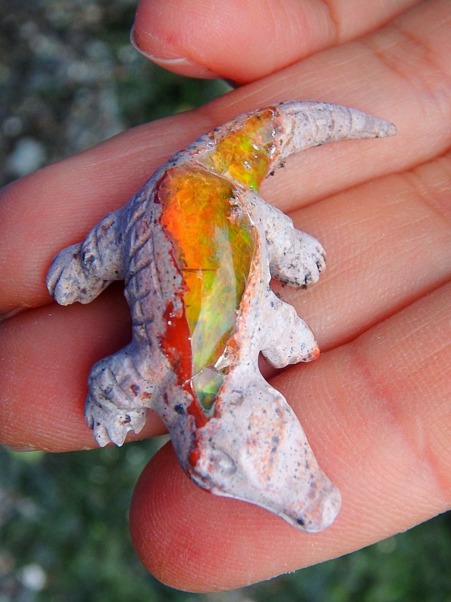  Cute Crocodile Mexican Fire Opal Carving