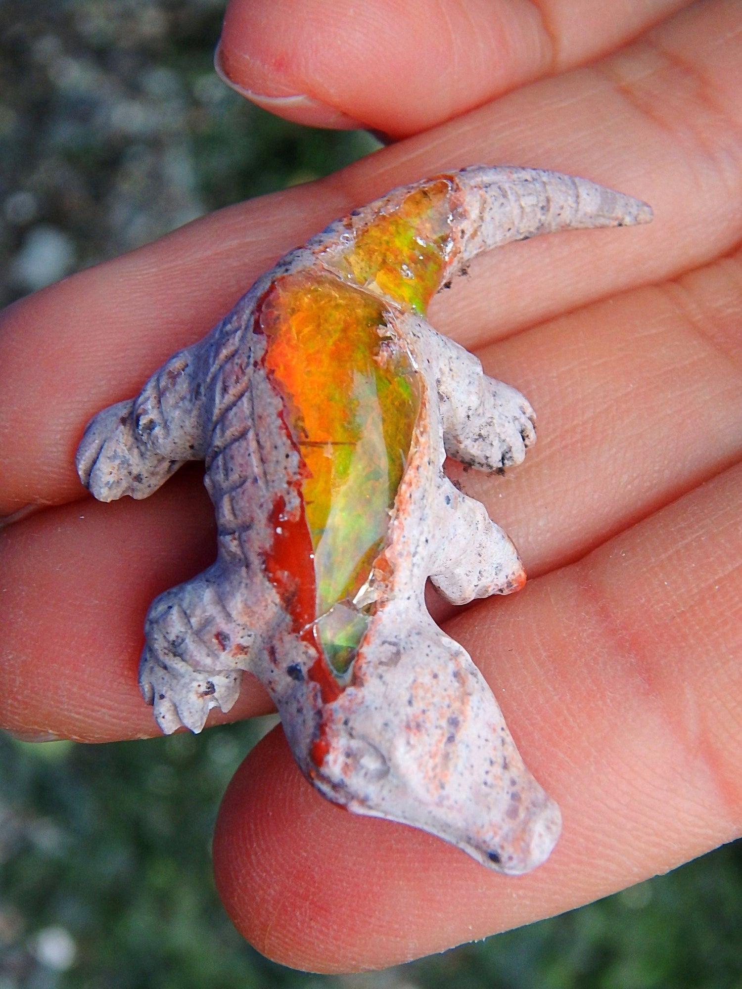  Cute Crocodile Mexican Fire Opal Carving
