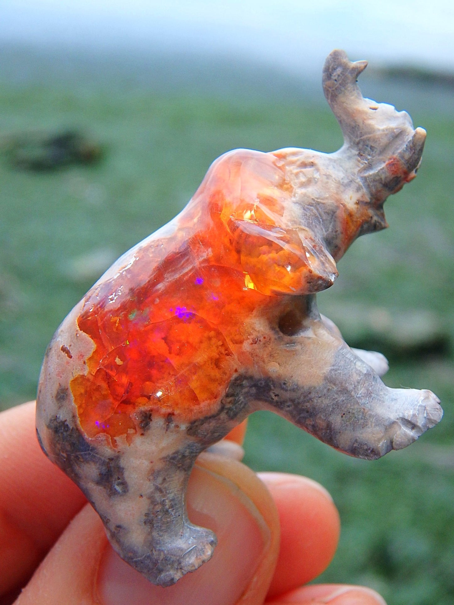 Majestic Mexican Fire Opal Elephant Carving - Earth Family Crystals