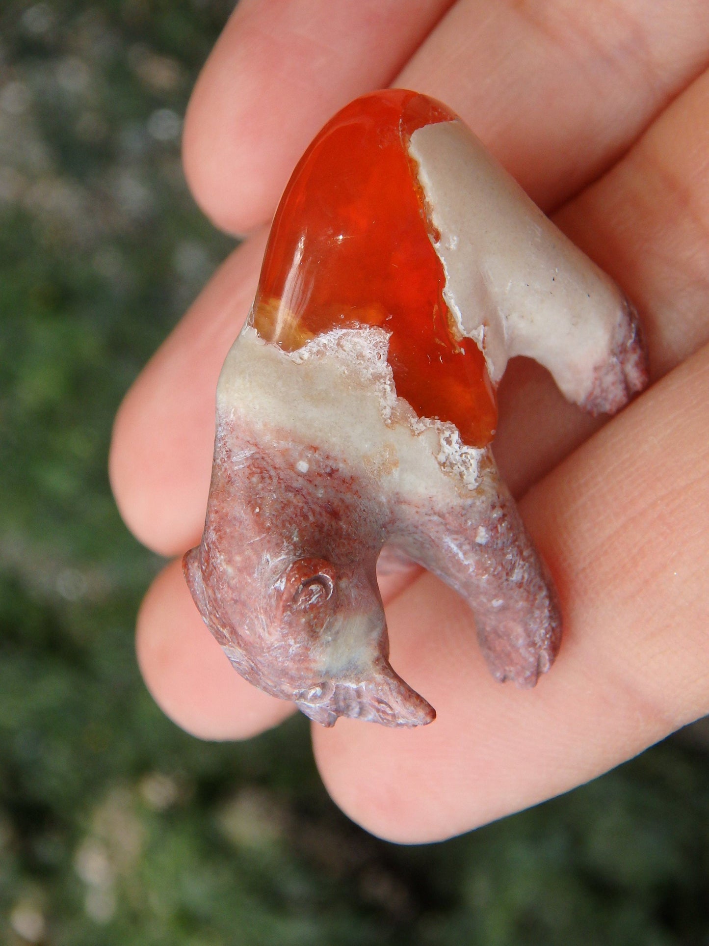  Cute Bear & Fish Mexican Fire Opal Carving