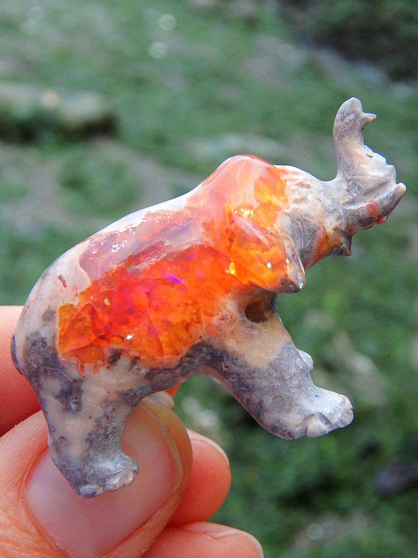 Majestic Mexican Fire Opal Elephant Carving - Earth Family Crystals