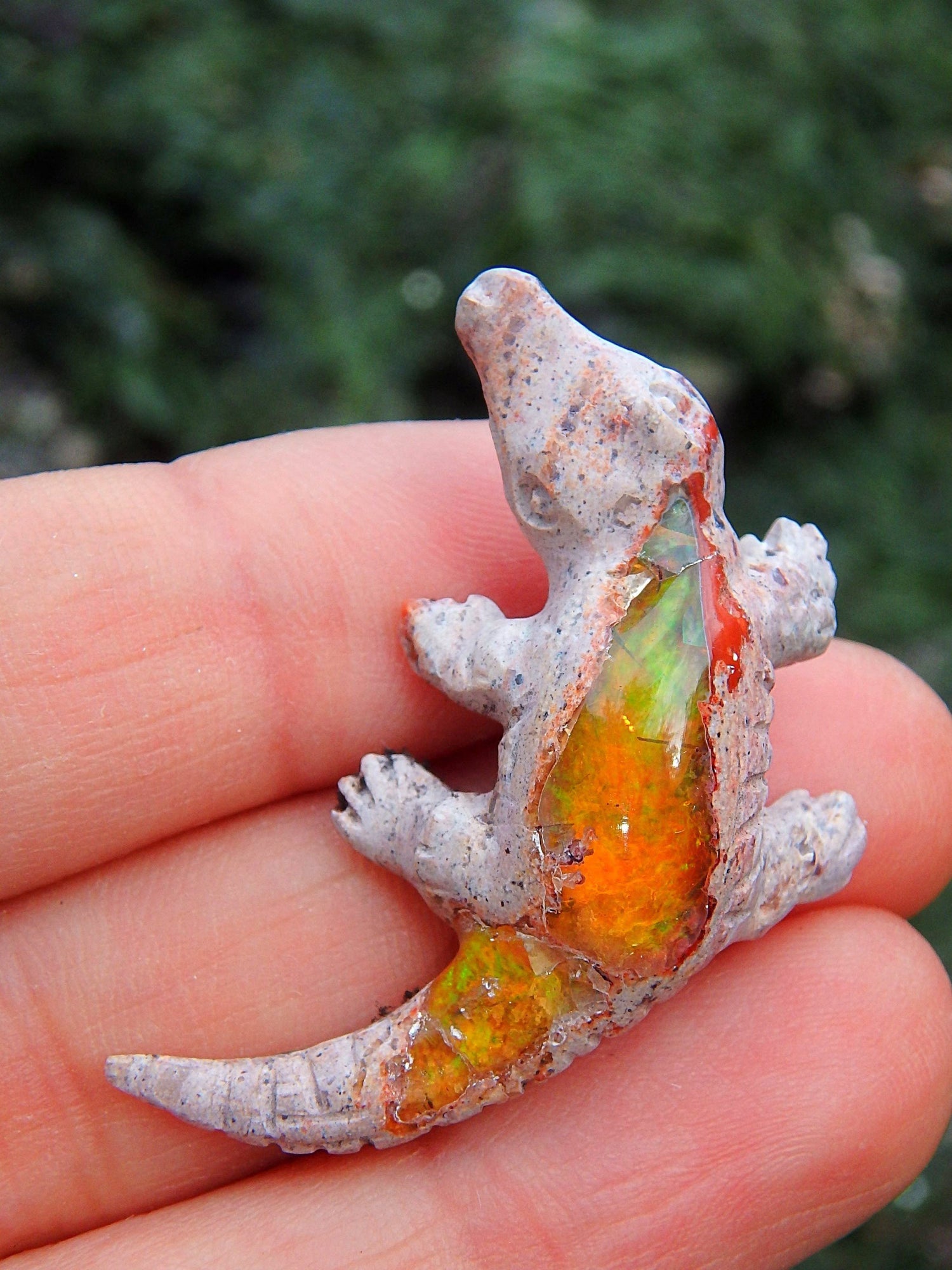  Cute Crocodile Mexican Fire Opal Carving