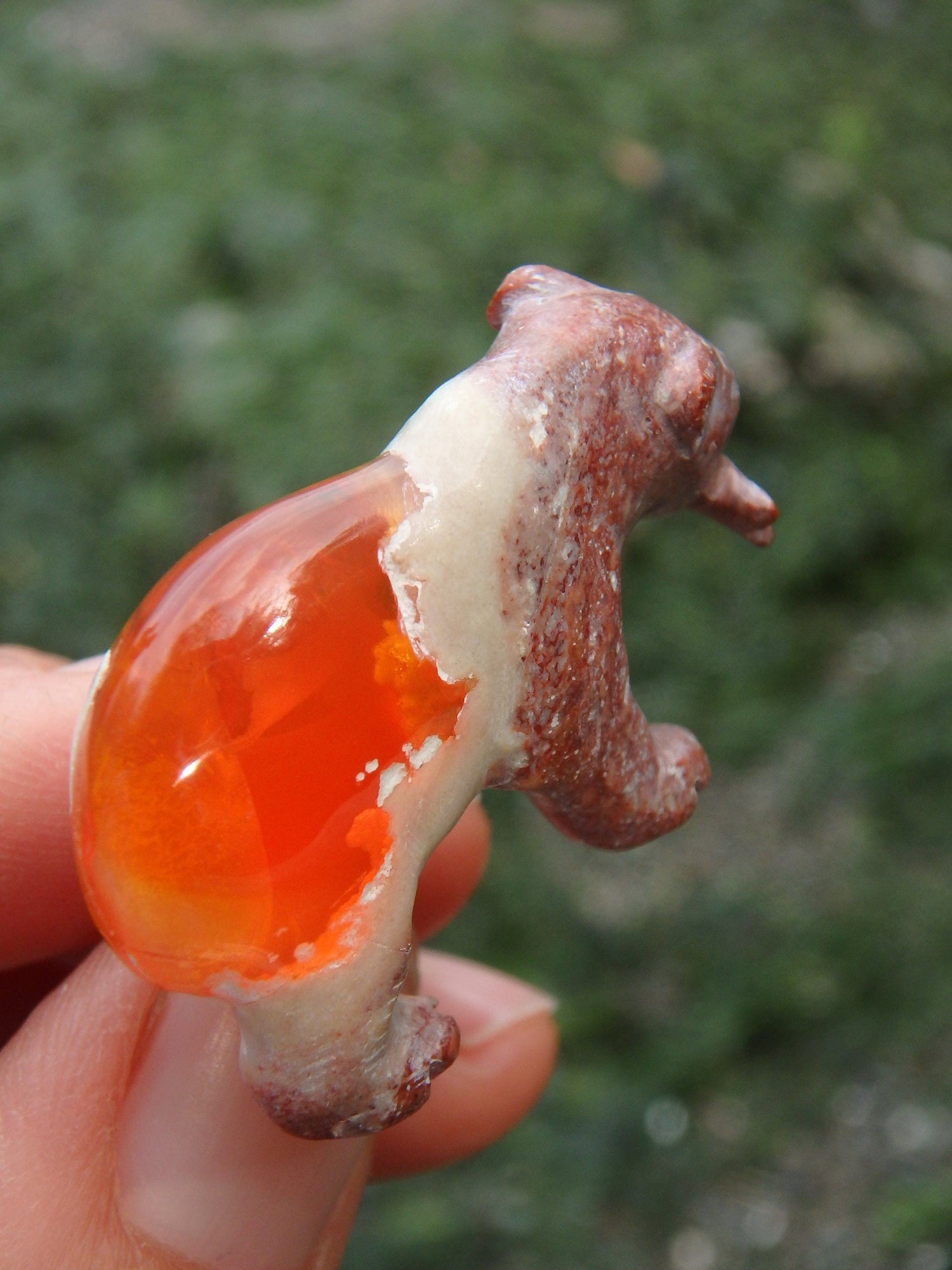  Cute Bear & Fish Mexican Fire Opal Carving