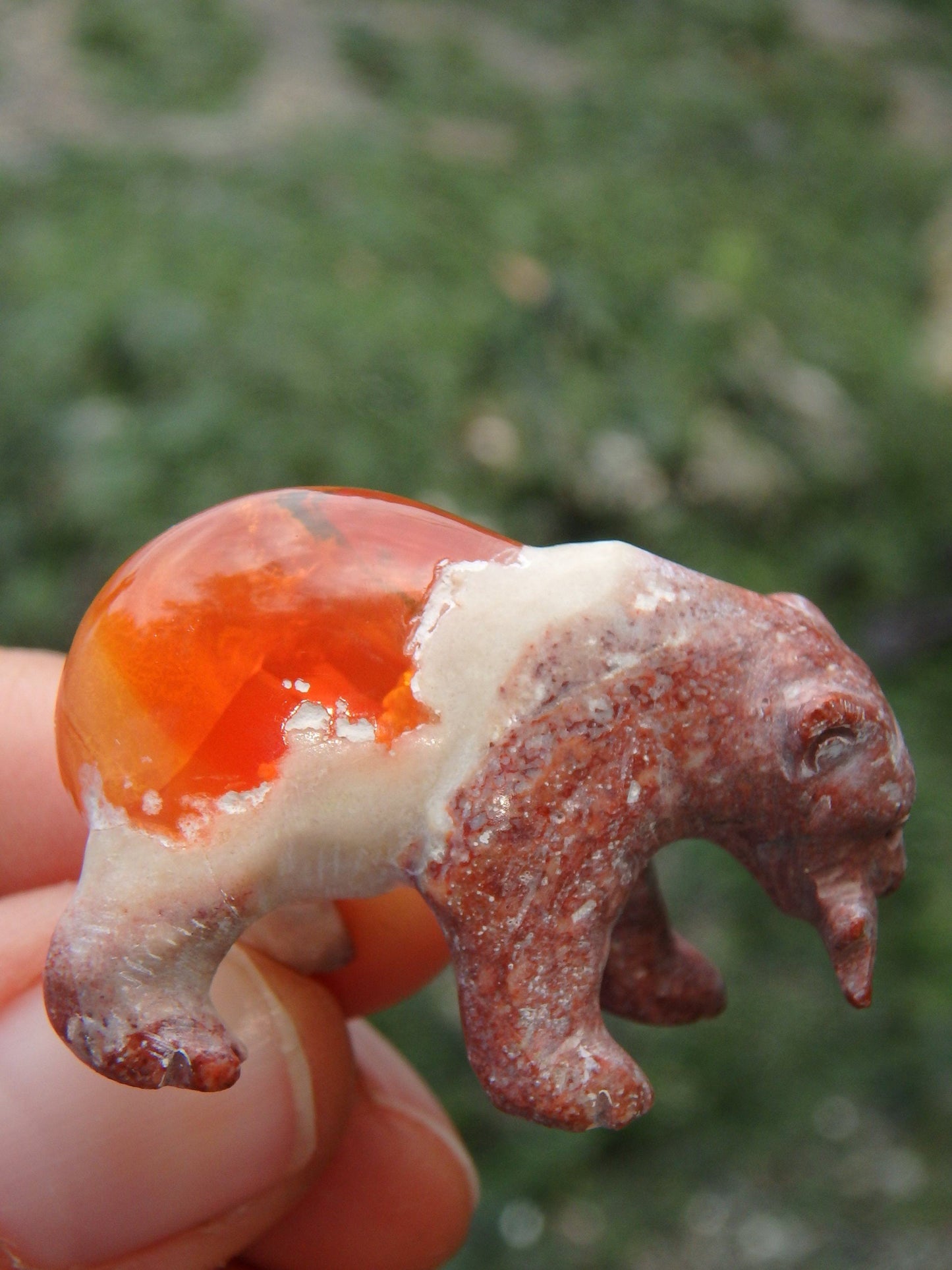 Cute Bear & Fish Mexican Fire Opal Carving