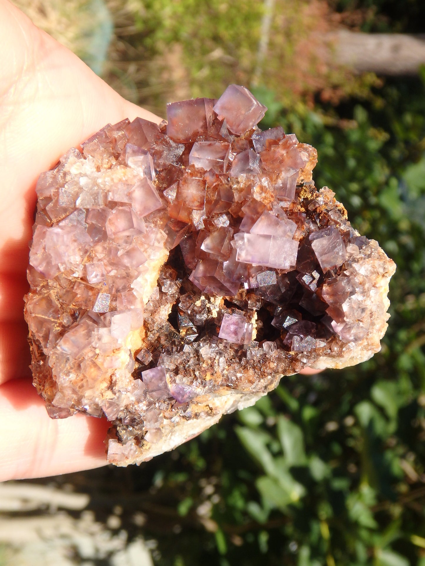 Purple Haze Cubic Fluorite Nestled on Rock Matrix From Bingham, NM - Metiz Tier Price