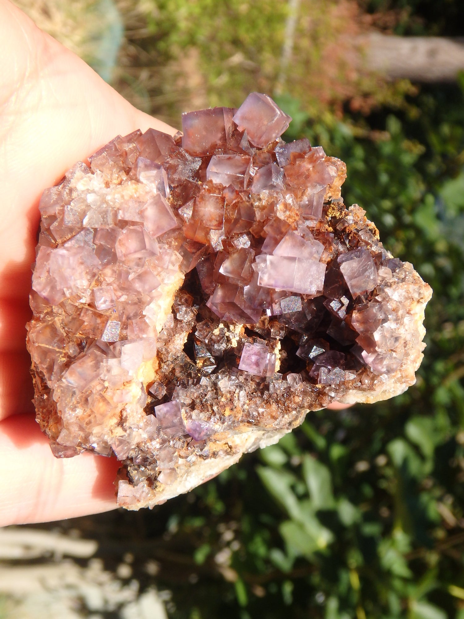 Purple Haze Cubic Fluorite Nestled on Rock Matrix From Bingham, NM - Metiz Tier Price