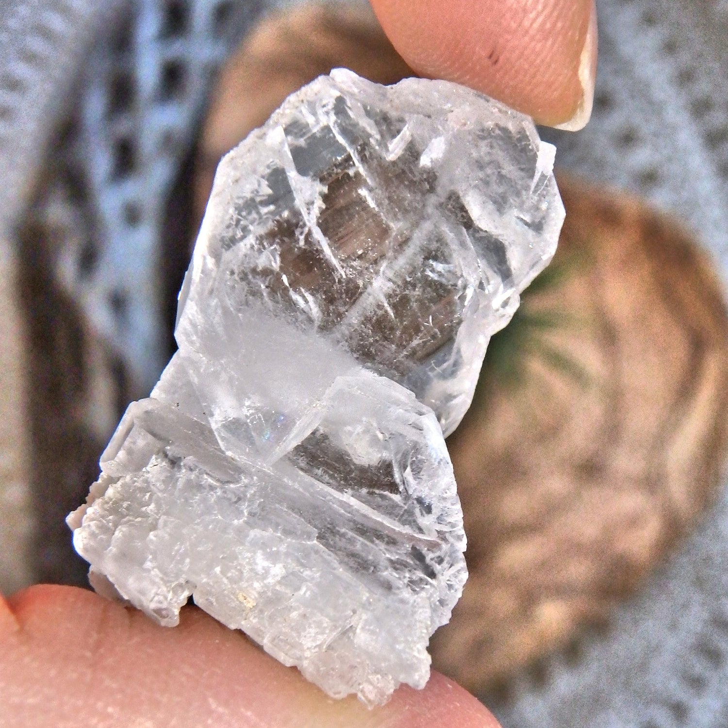 Healing Brilliance Faden Quartz Cute Dainty Specimen 2 - Earth Family Crystals
