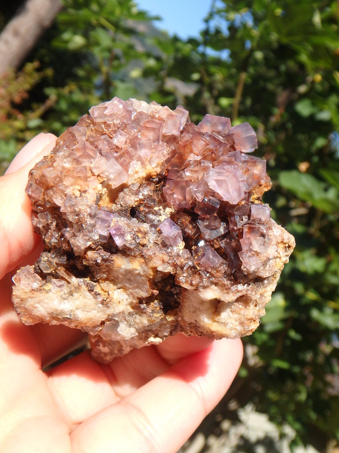 Purple Haze Cubic Fluorite Nestled on Rock Matrix From Bingham, NM - Metiz Tier Price