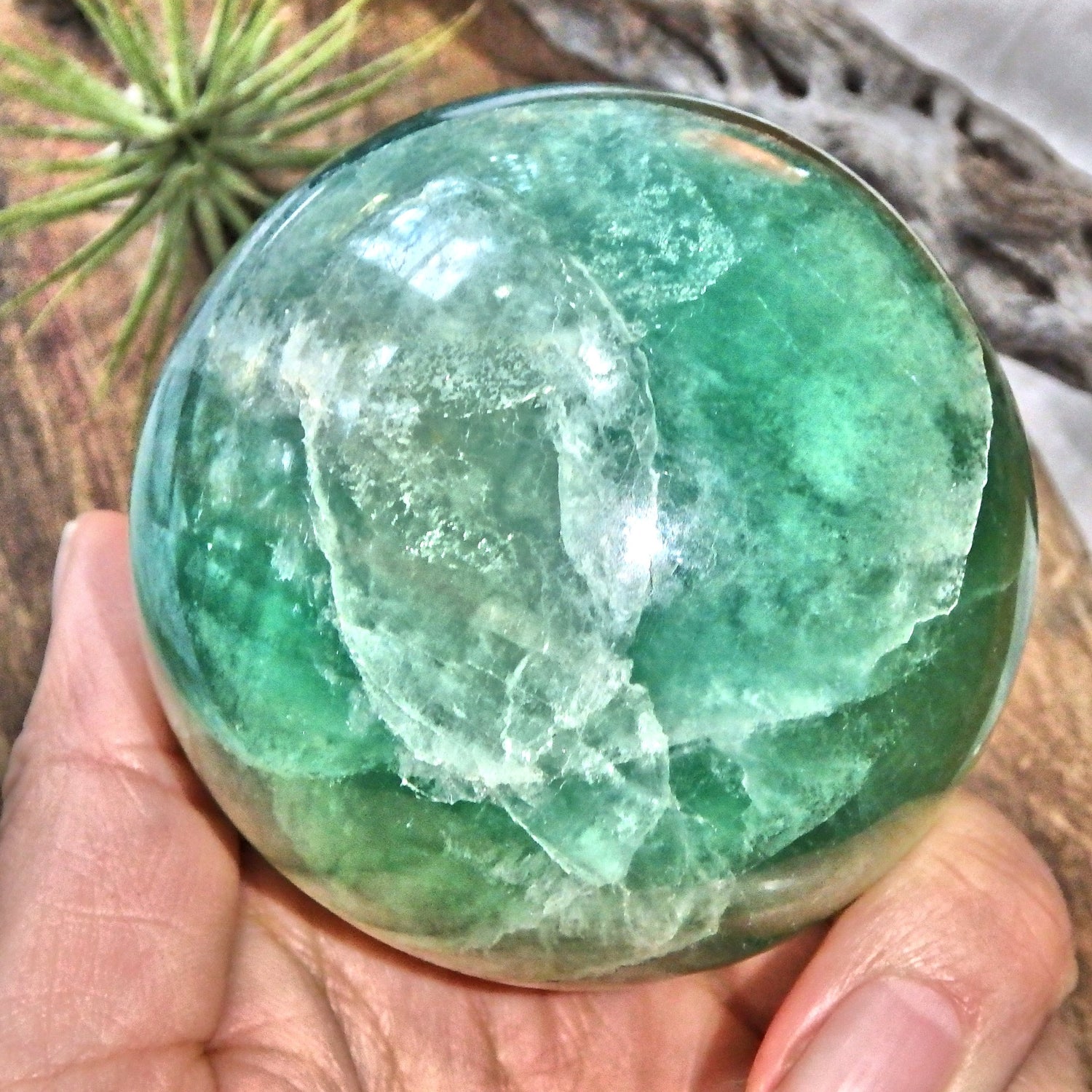 Large Vibrant Green Fluorite Gemstone Sphere Carving1 - Earth Family Crystals