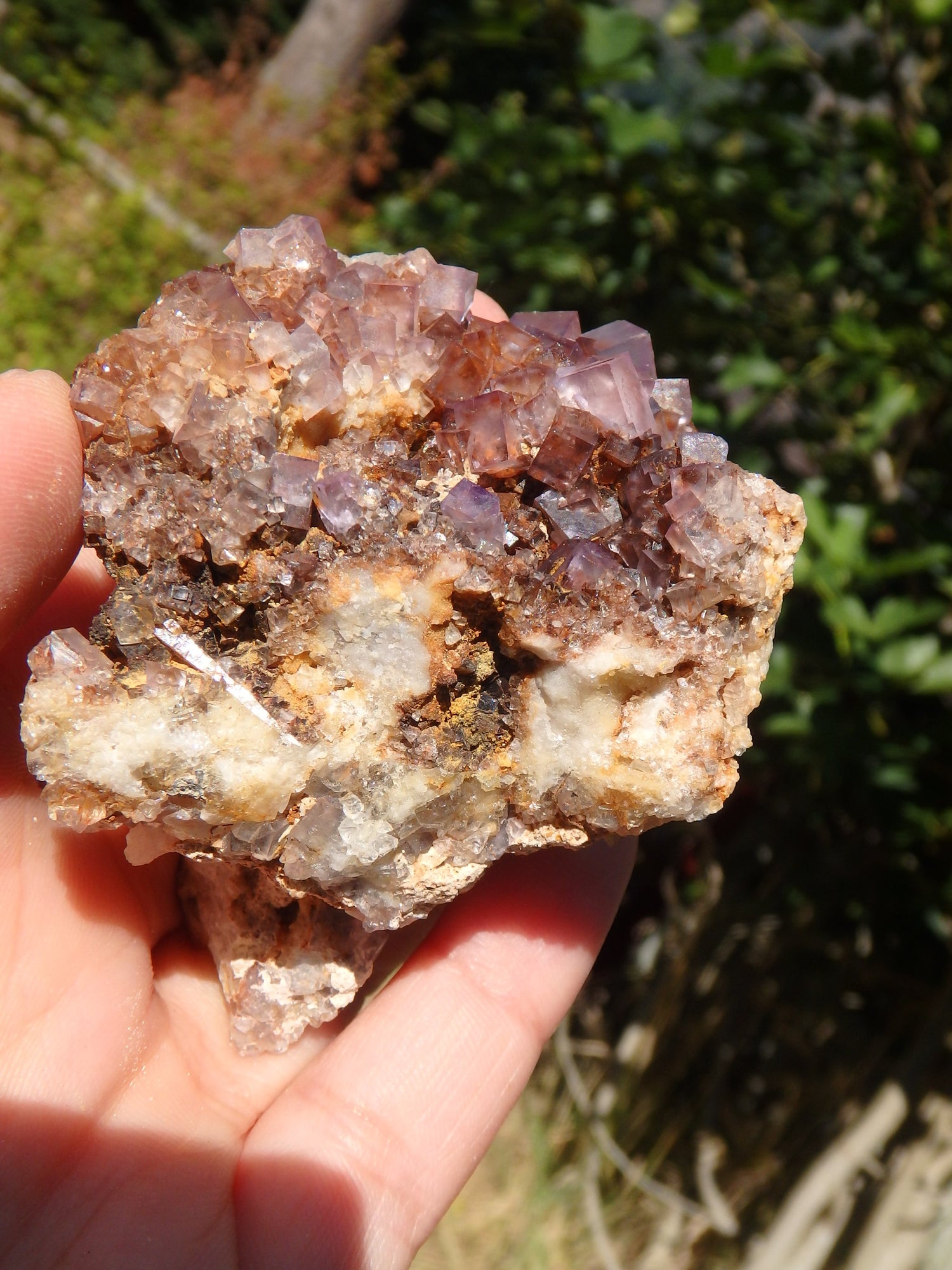 Purple Haze Cubic Fluorite Nestled on Rock Matrix From Bingham, NM - Metiz Tier Price