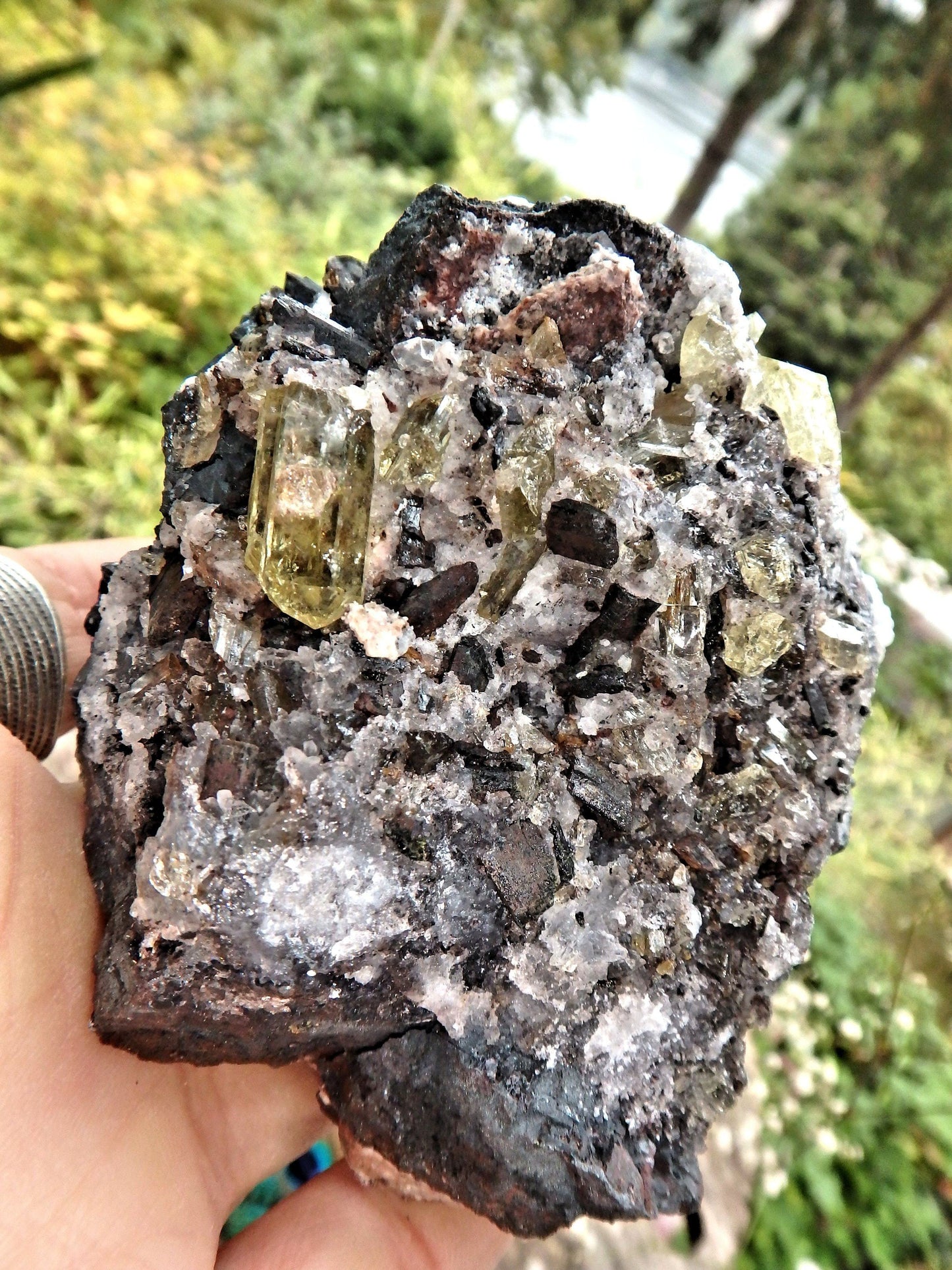  Chunky Large Golden Apatite Points Nestled In Matrix
