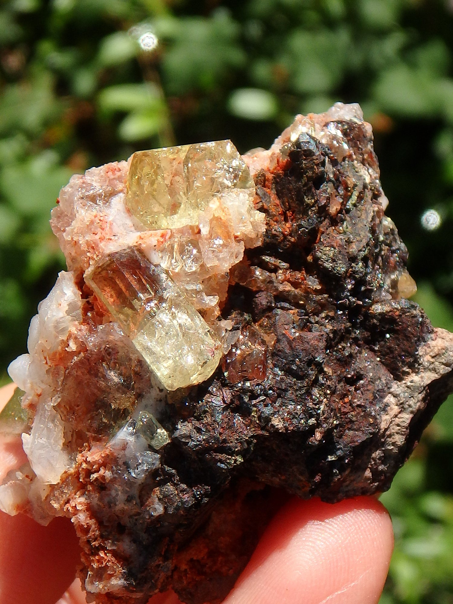 Shiny & Vibrant Golden Apatite Points Nestled in Matrix From Mexico - Metiz Tier Price
