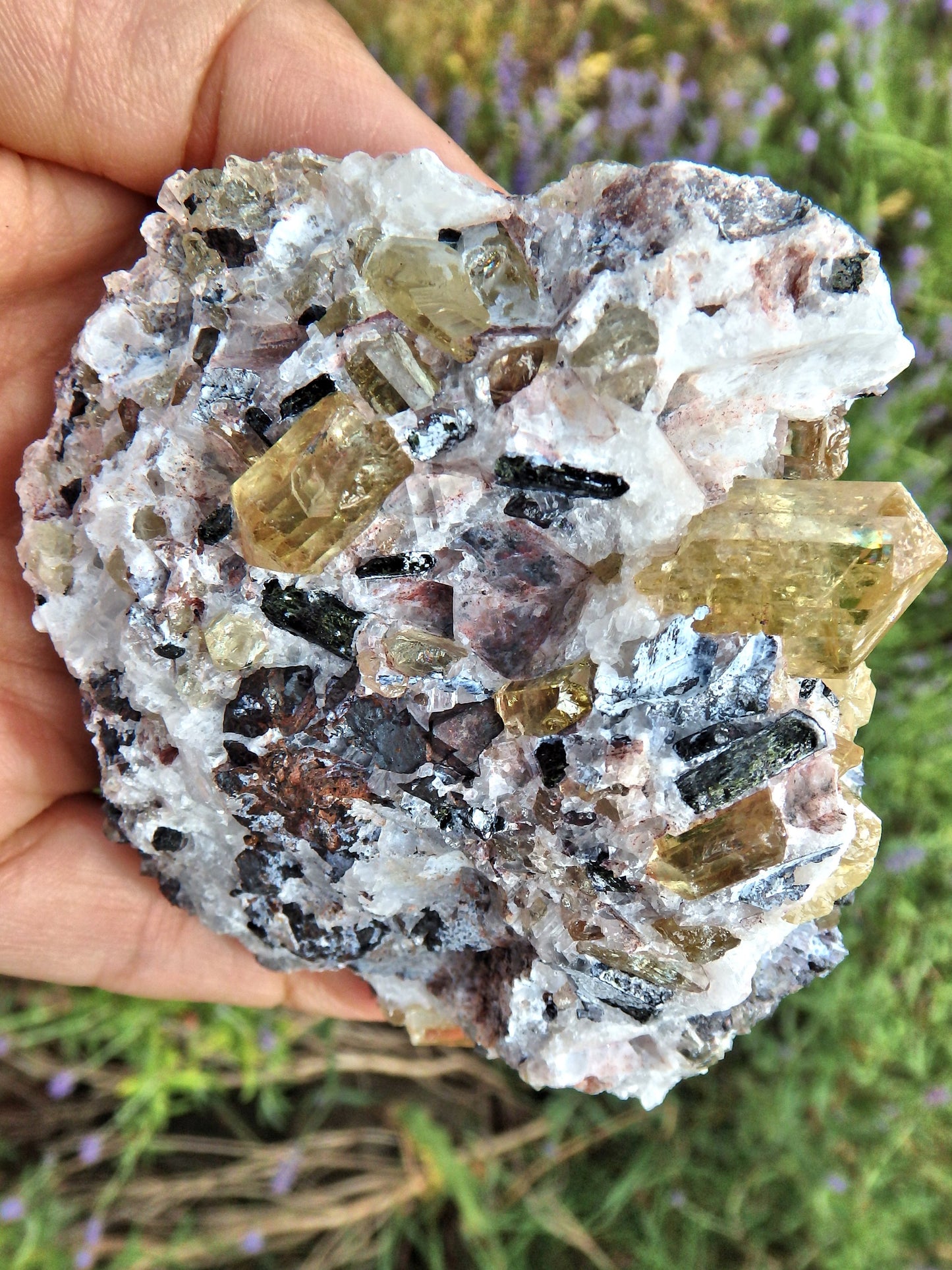 Incredible Brilliance~Large Golden Apatite Points Nestled in Matrix From Mexico1 - Metiz Tier Price