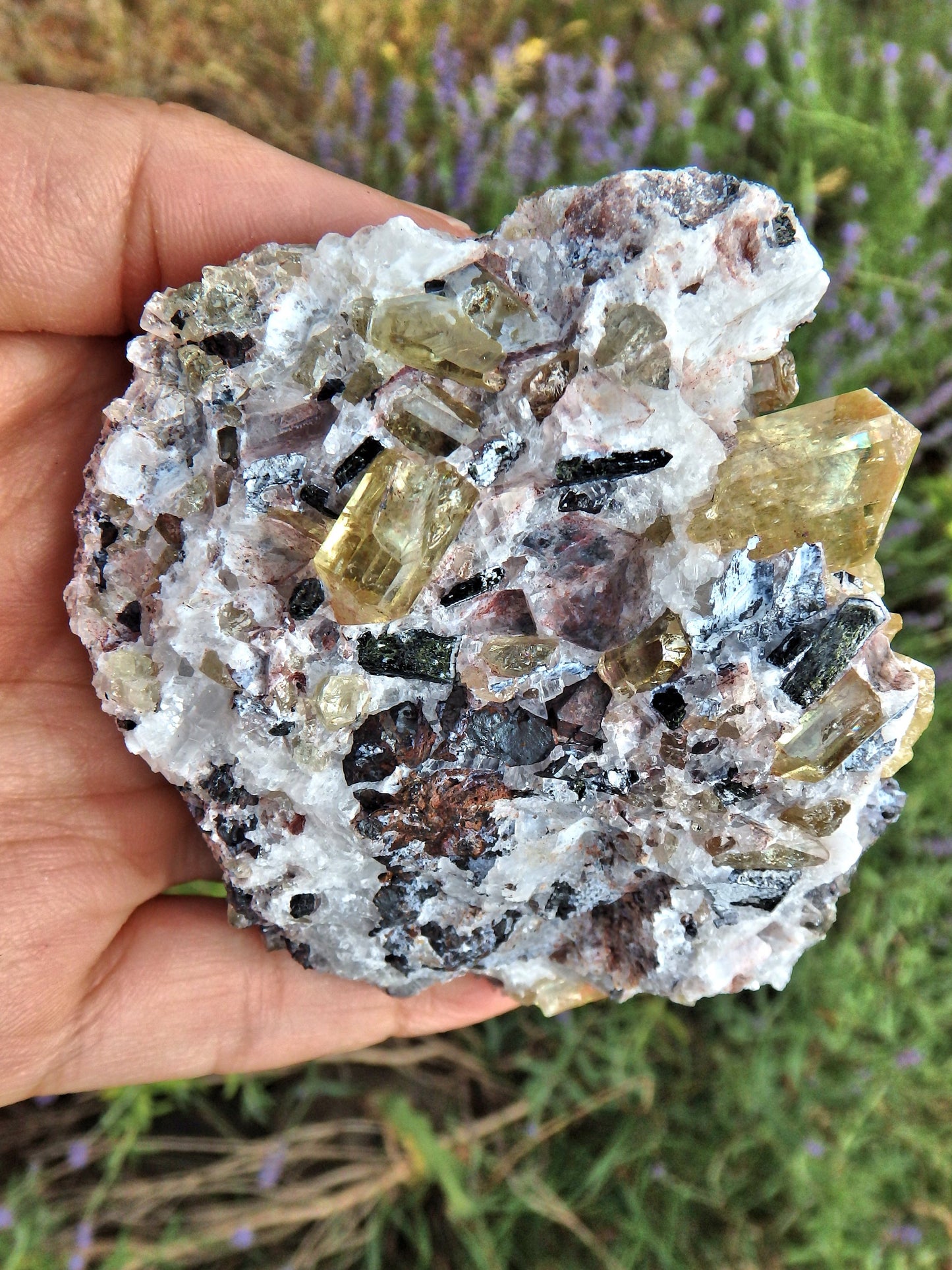 Incredible Brilliance~Large Golden Apatite Points Nestled in Matrix From Mexico1 - Metiz Tier Price