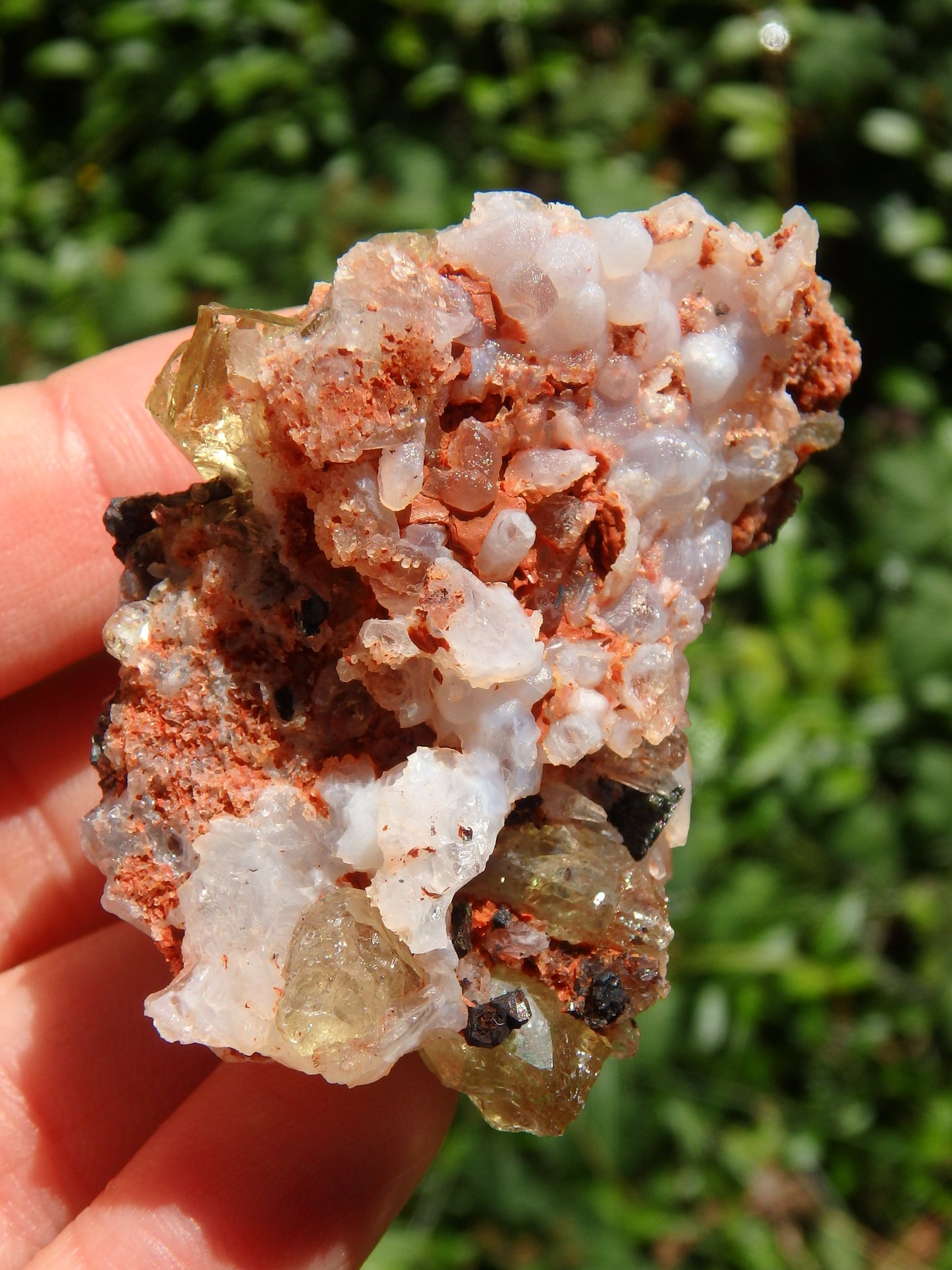 Shiny & Vibrant Golden Apatite Points Nestled in Matrix From Mexico - Metiz Tier Price