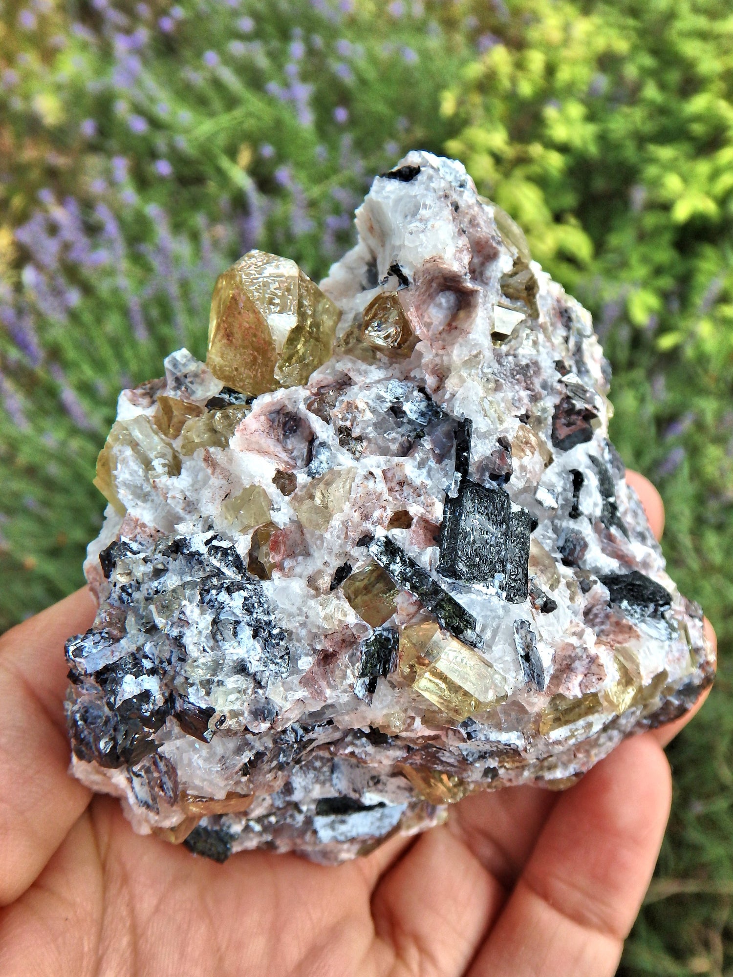Incredible Brilliance~Large Golden Apatite Points Nestled in Matrix From Mexico1 - Metiz Tier Price