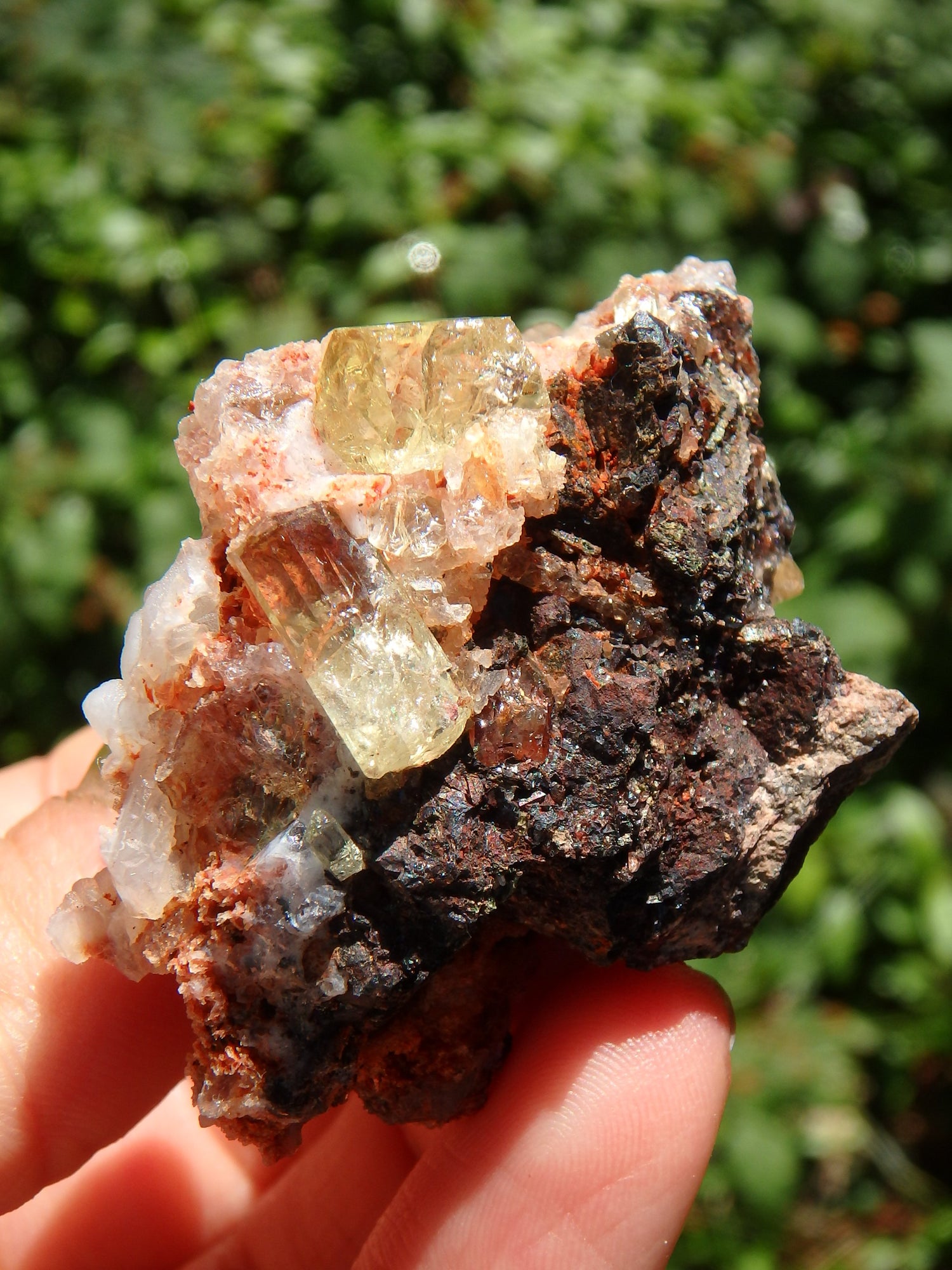 Shiny & Vibrant Golden Apatite Points Nestled in Matrix From Mexico - Metiz Tier Price