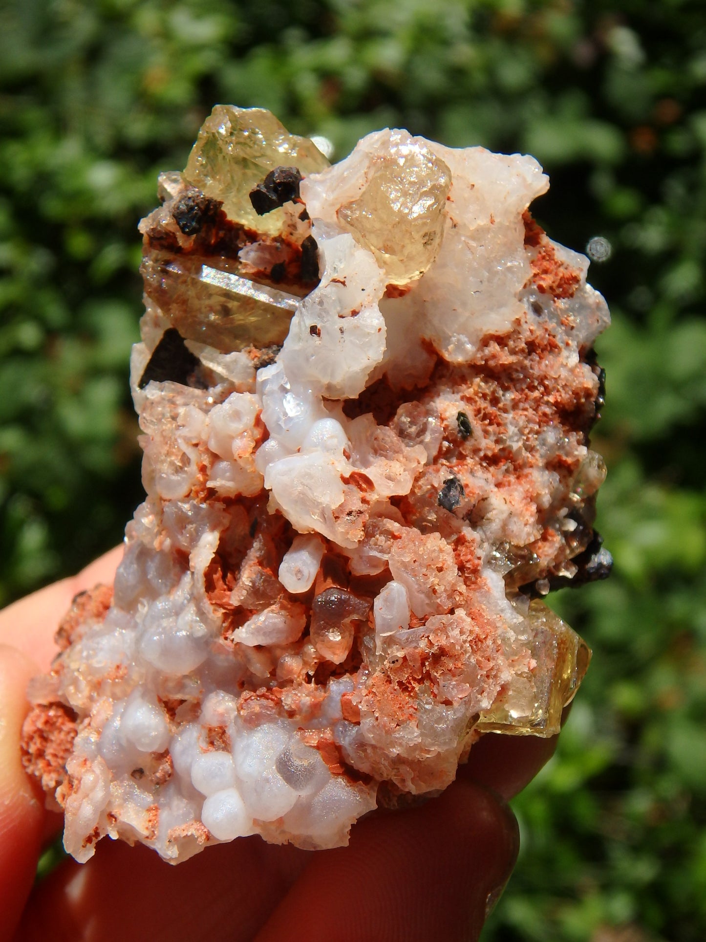 Shiny & Vibrant Golden Apatite Points Nestled in Matrix From Mexico - Metiz Tier Price