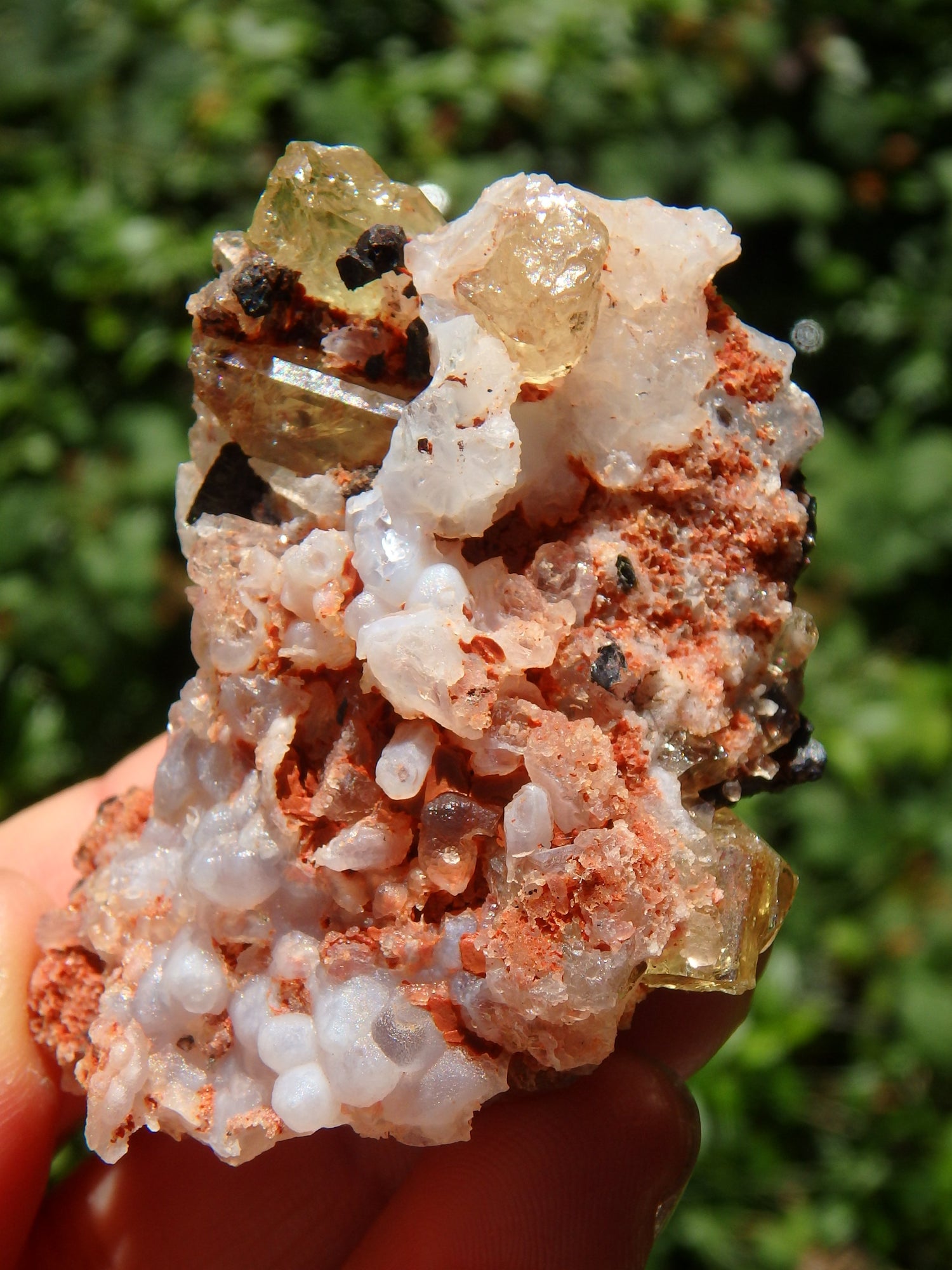 Shiny & Vibrant Golden Apatite Points Nestled in Matrix From Mexico - Metiz Tier Price