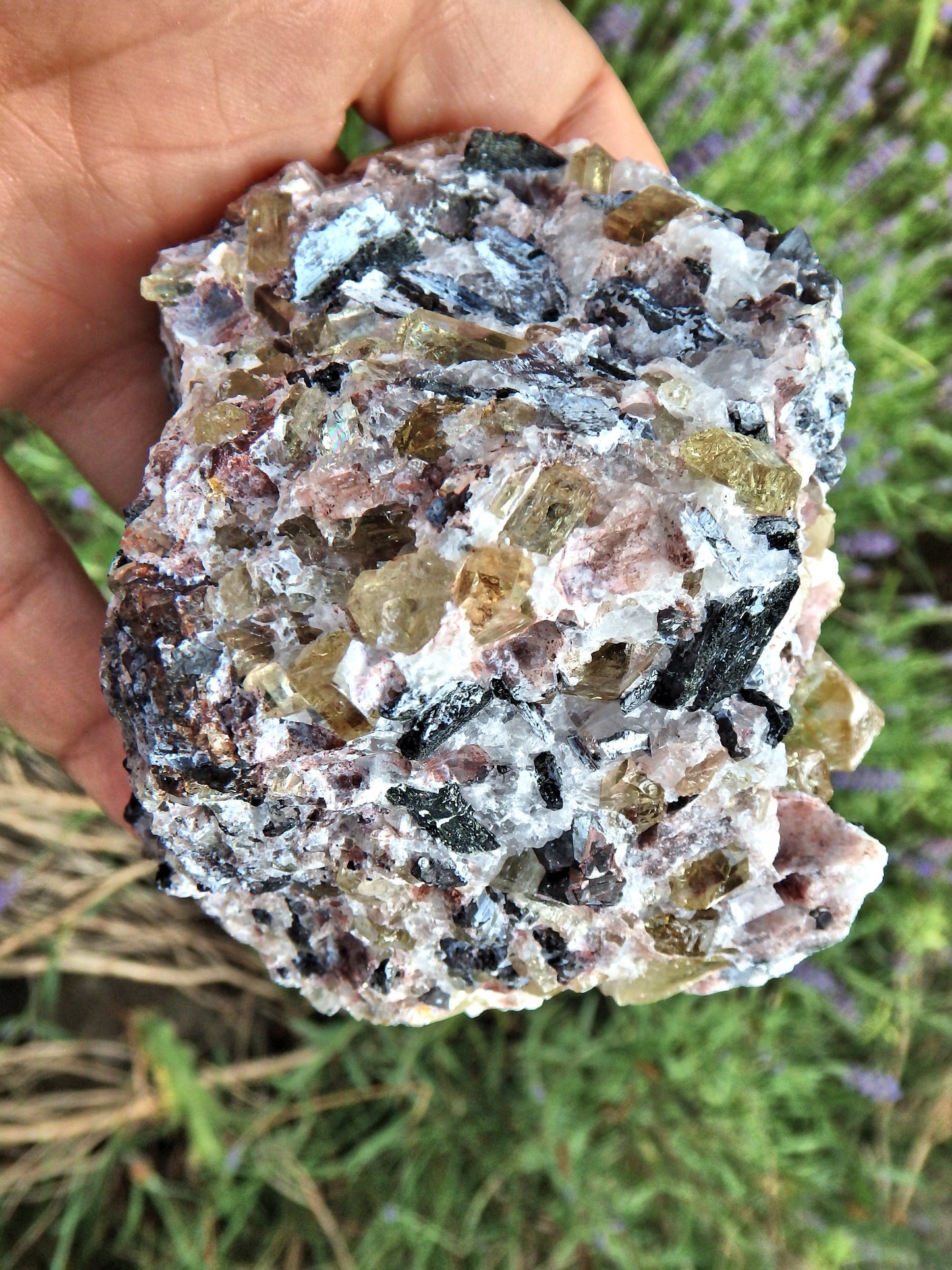Incredible Brilliance~Large Golden Apatite Points Nestled in Matrix From Mexico1 - Metiz Tier Price