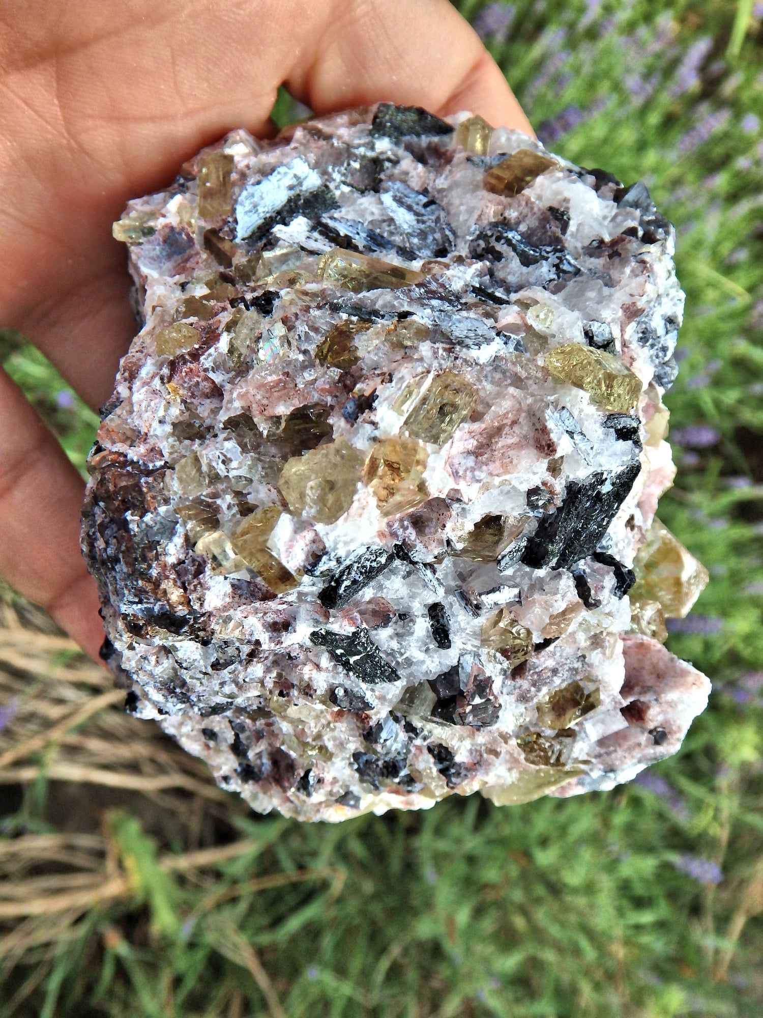 Incredible Brilliance~Large Golden Apatite Points Nestled in Matrix From Mexico1 - Metiz Tier Price
