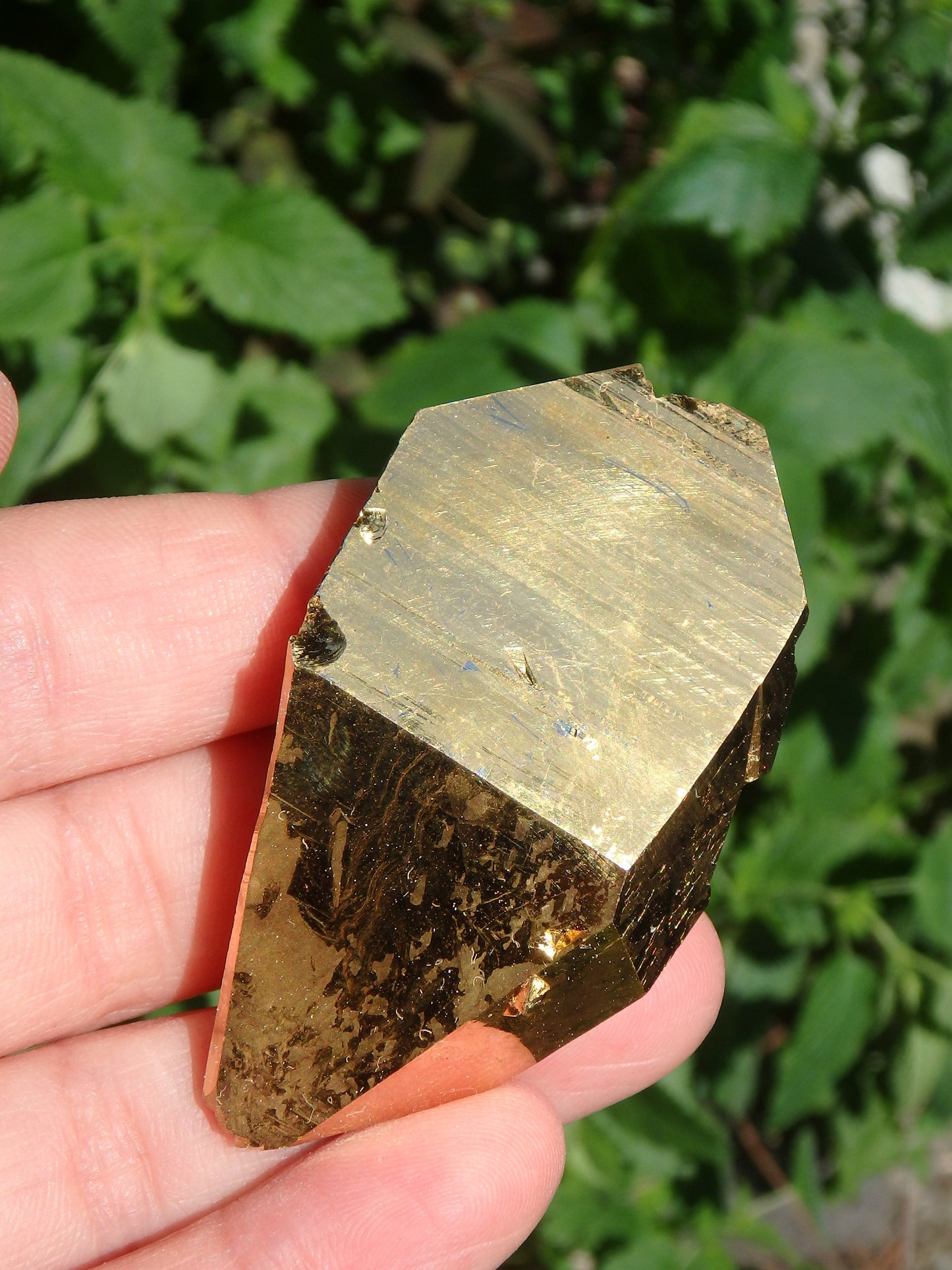 Incredible Sparkle DT Tabular Gold Aura Quartz Specimen With Record Keeepers - Metiz Tier Price