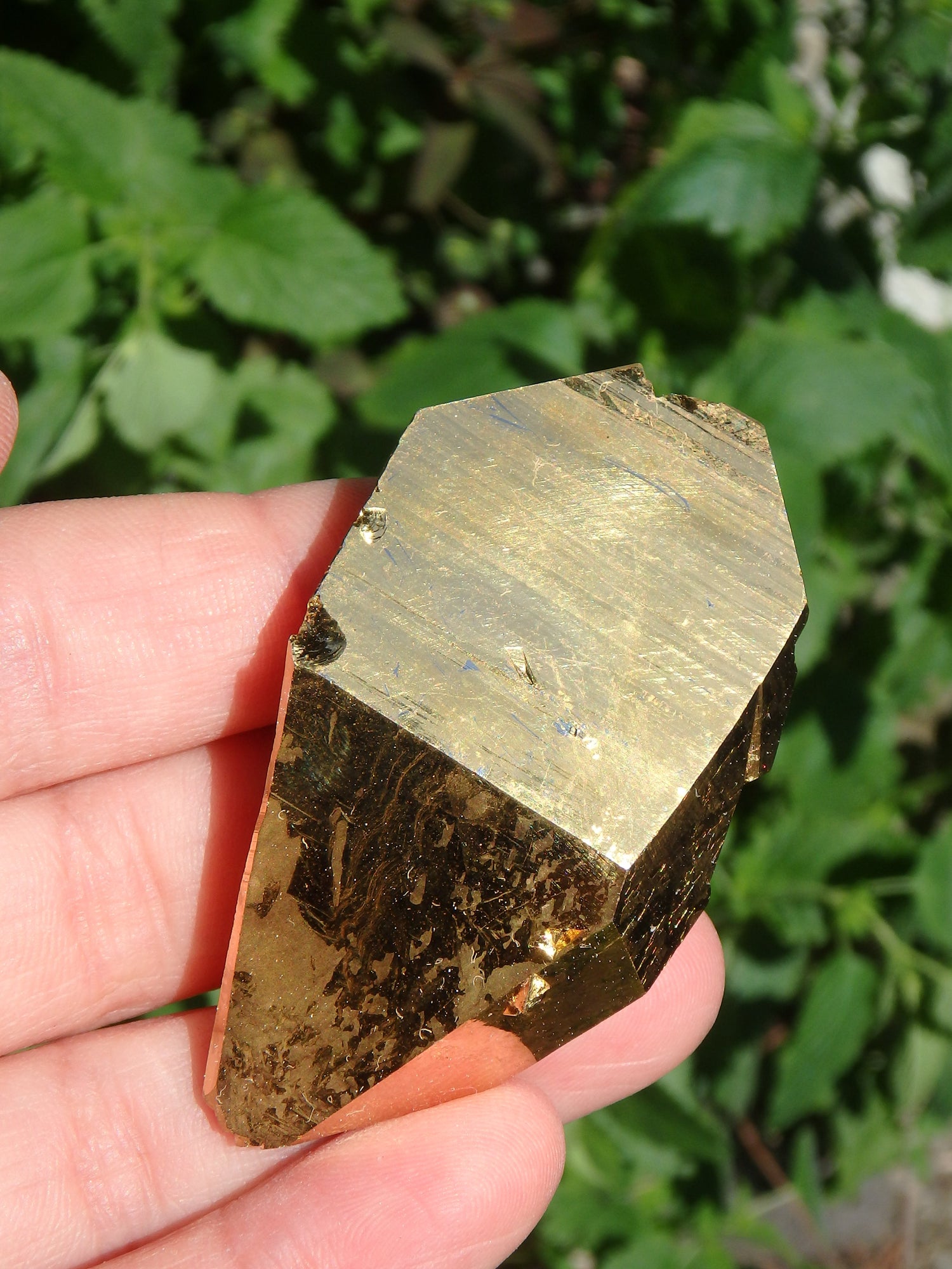 Incredible Sparkle DT Tabular Gold Aura Quartz Specimen With Record Keeepers - Metiz Tier Price