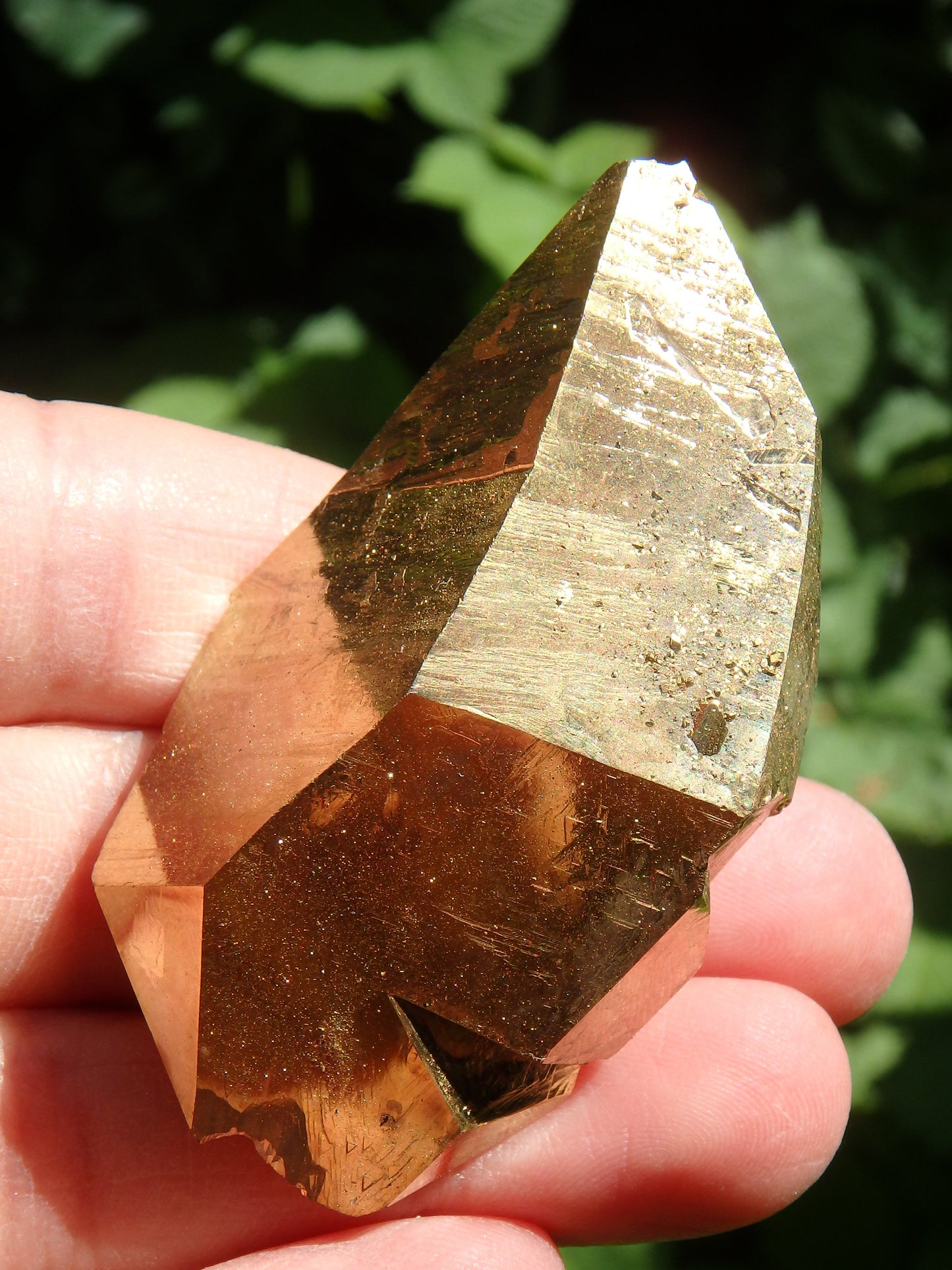 Incredible Sparkle DT Tabular Gold Aura Quartz Specimen With Record Keeepers - Metiz Tier Price