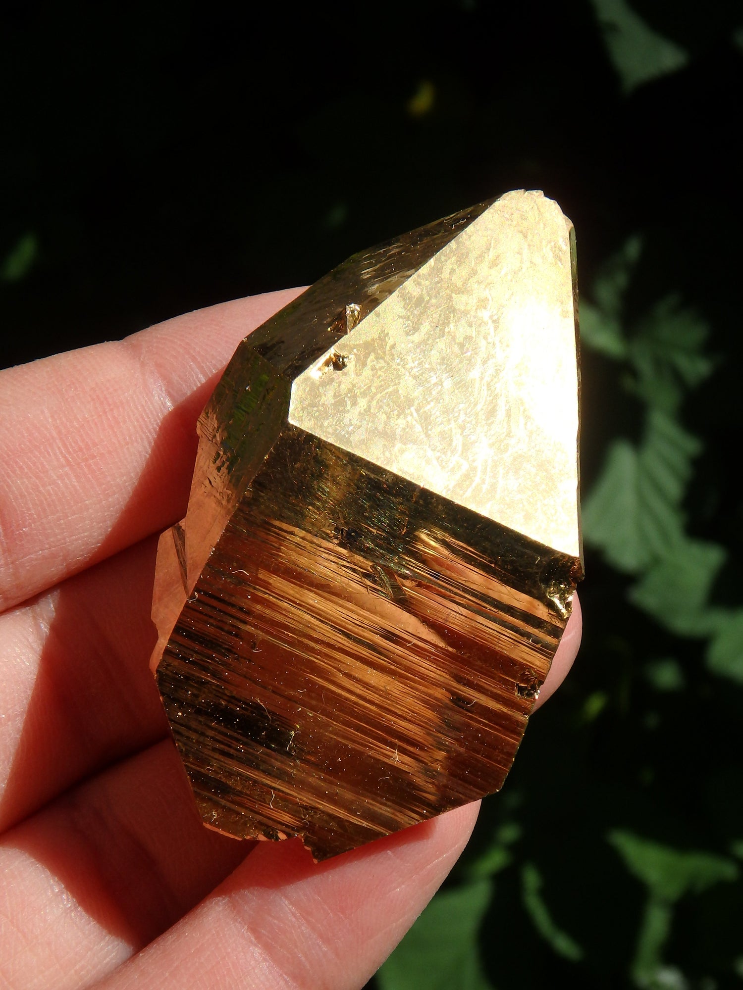 Incredible Sparkle DT Tabular Gold Aura Quartz Specimen With Record Keeepers - Metiz Tier Price