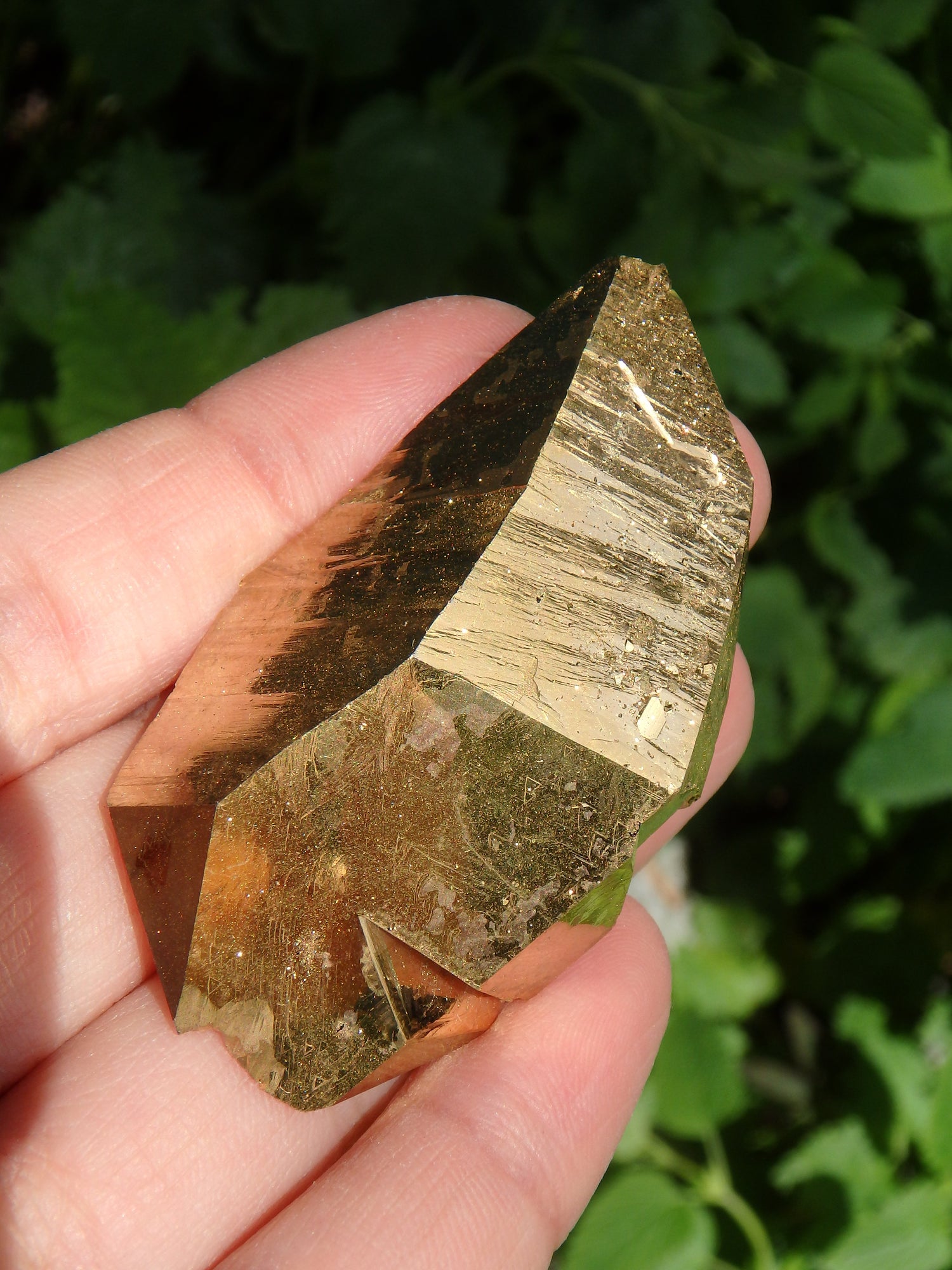 Incredible Sparkle DT Tabular Gold Aura Quartz Specimen With Record Keeepers - Metiz Tier Price
