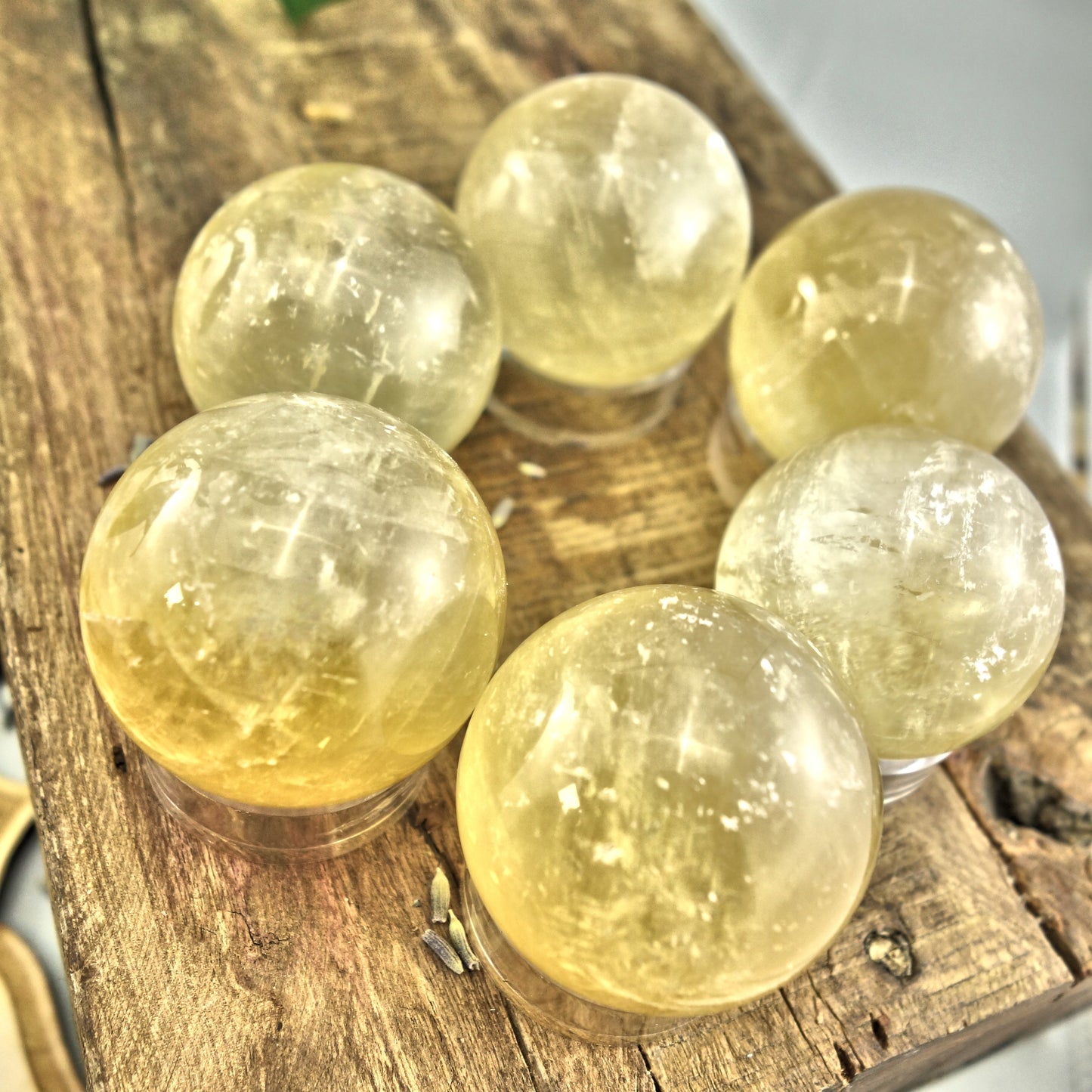 Gorgeous Optical Golden Honey Calcite Sphere Carving (1) - Earth Family Crystals