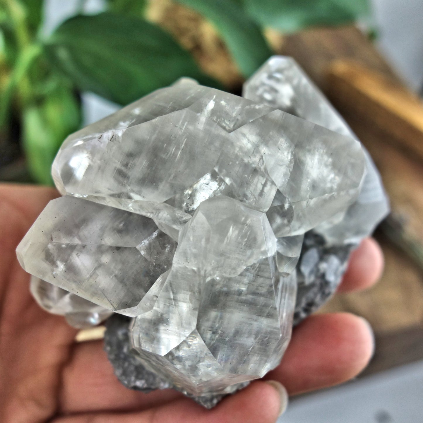 Incredible Rainbows Perfect DT Multi Point Golden Calcite Collectors Specimen From Linwood Mine, NY