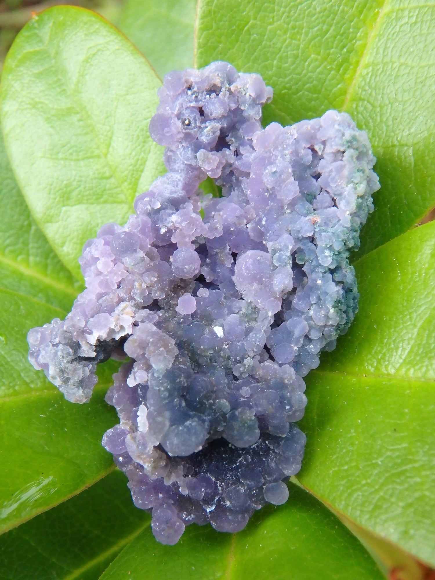 Shimmering Deep Purple Grape Agate With Green Inclusions From Indonesia - Metiz Tier Price