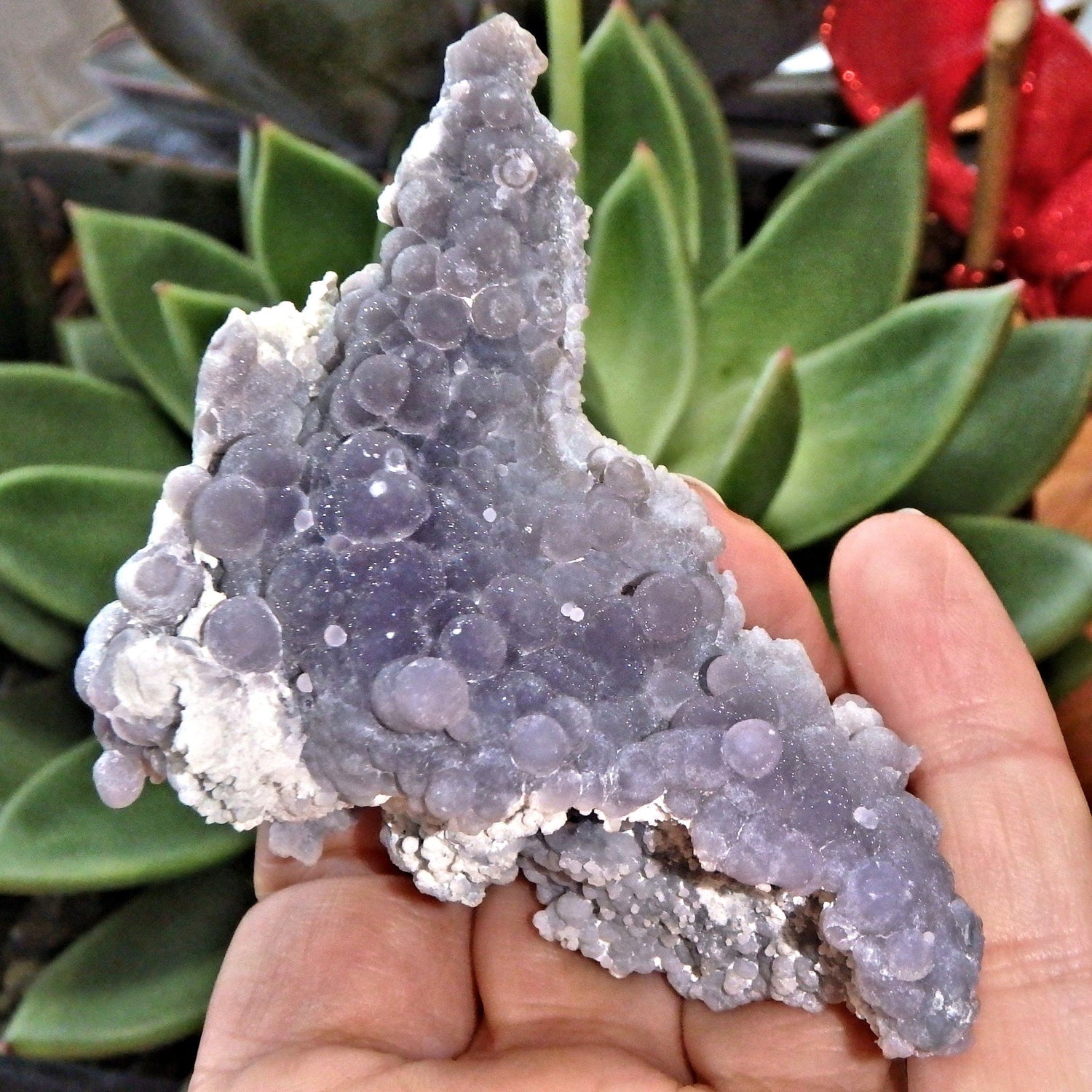  Deep Caves Frosty Purple & White Orbs Grape Agate From Indonesia
