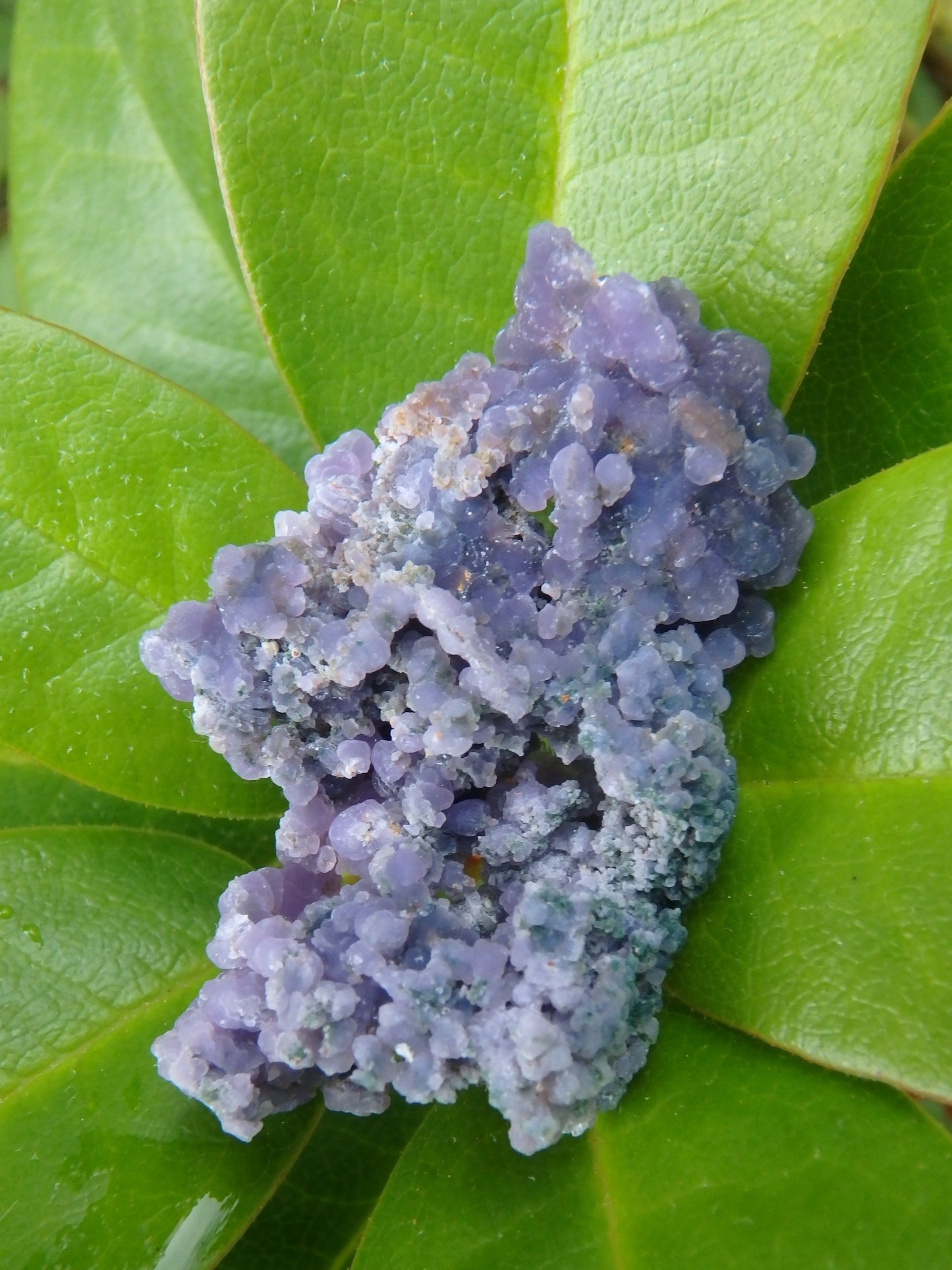 Shimmering Deep Purple Grape Agate With Green Inclusions From Indonesia - Metiz Tier Price
