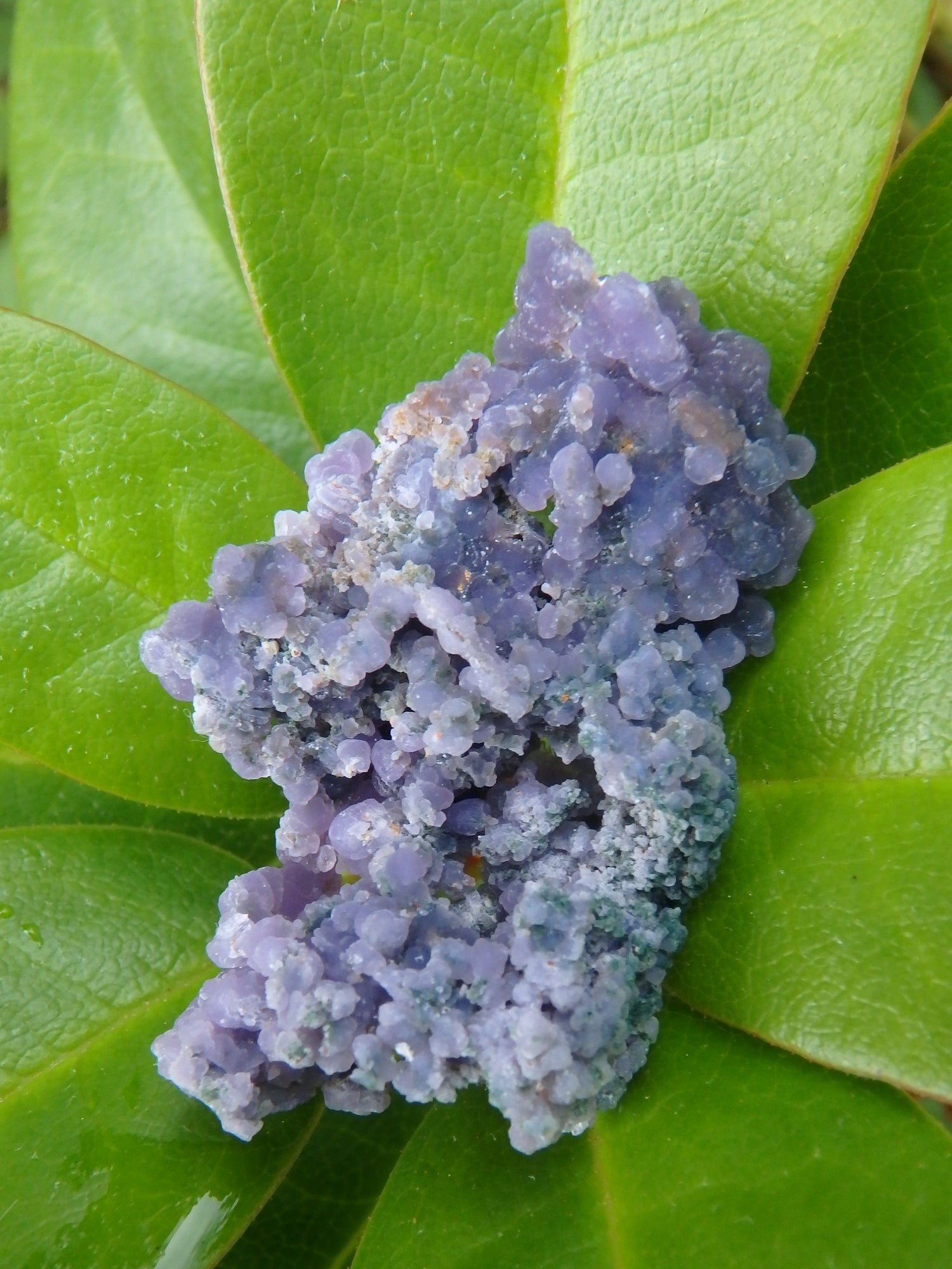 Shimmering Deep Purple Grape Agate With Green Inclusions From Indonesia - Metiz Tier Price