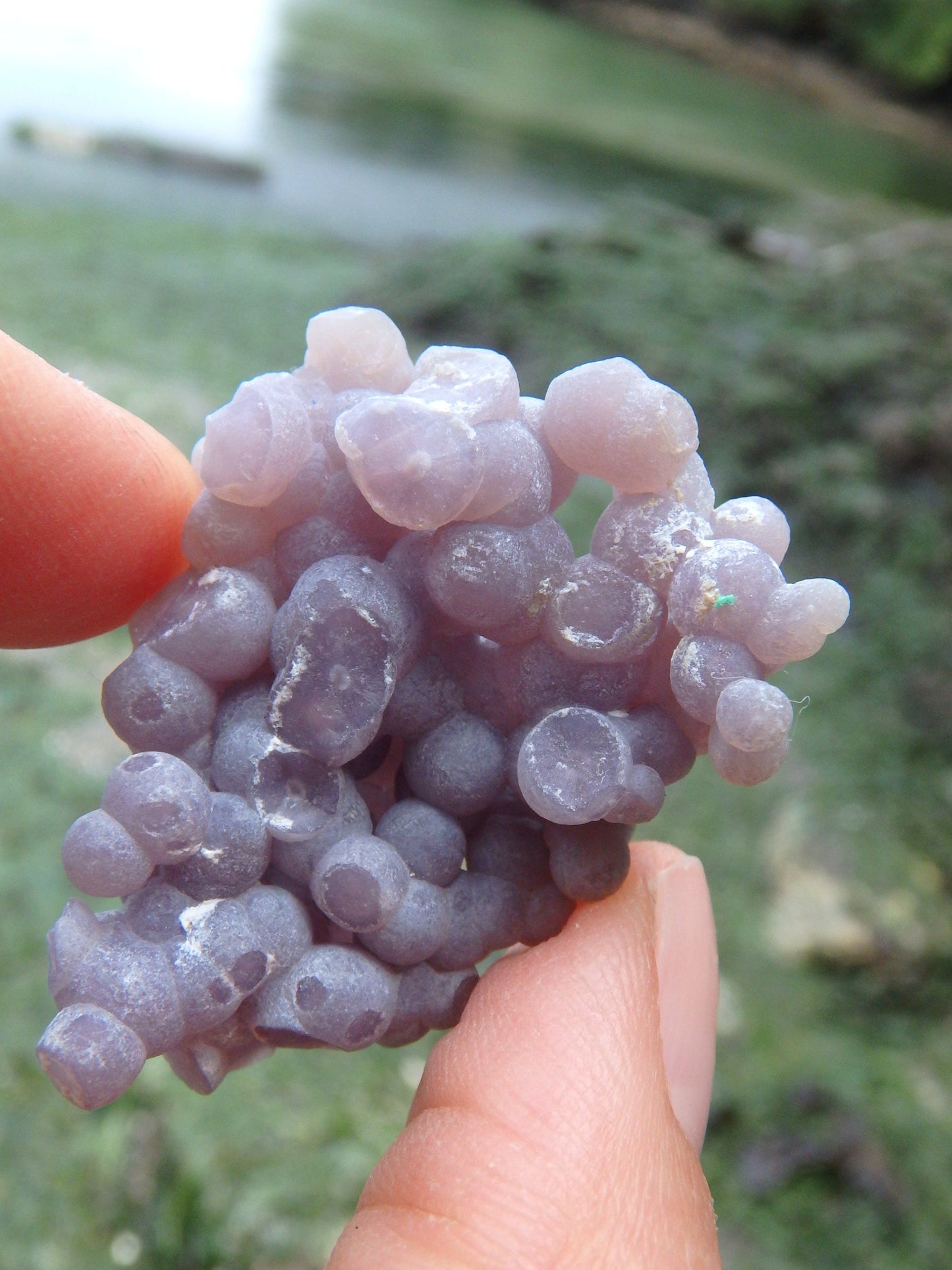  Cute Hand Held Grape Agate Specimen From Indonesia 1