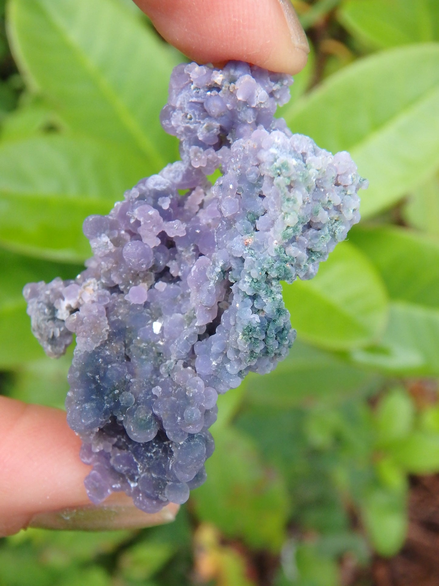Shimmering Deep Purple Grape Agate With Green Inclusions From Indonesia - Metiz Tier Price