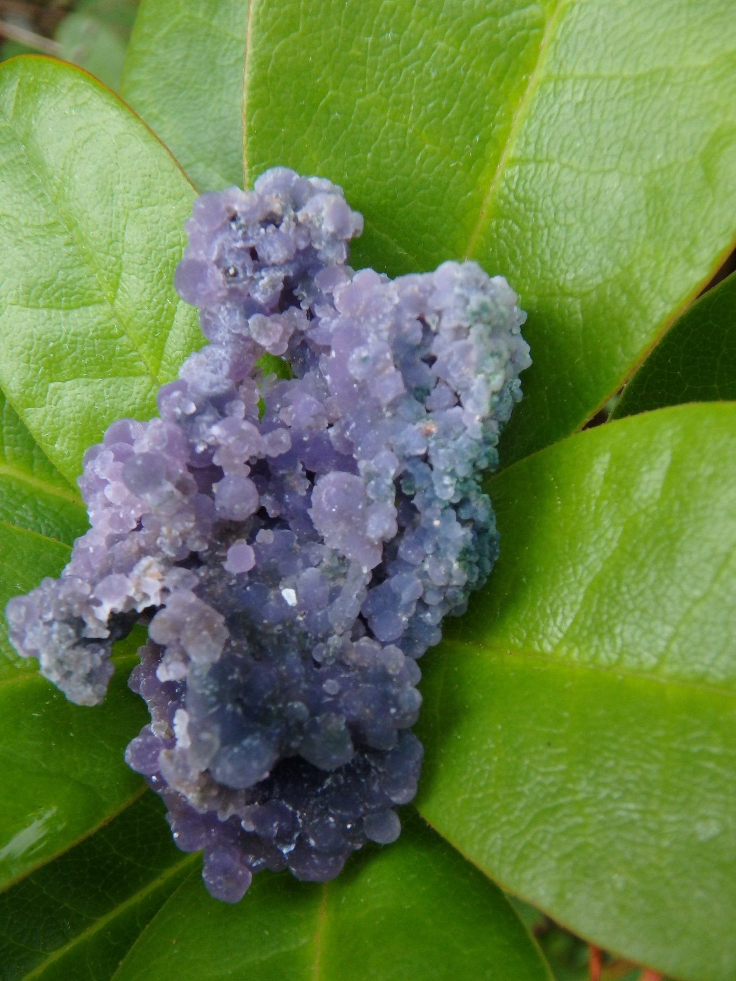 Shimmering Deep Purple Grape Agate With Green Inclusions From Indonesia - Metiz Tier Price