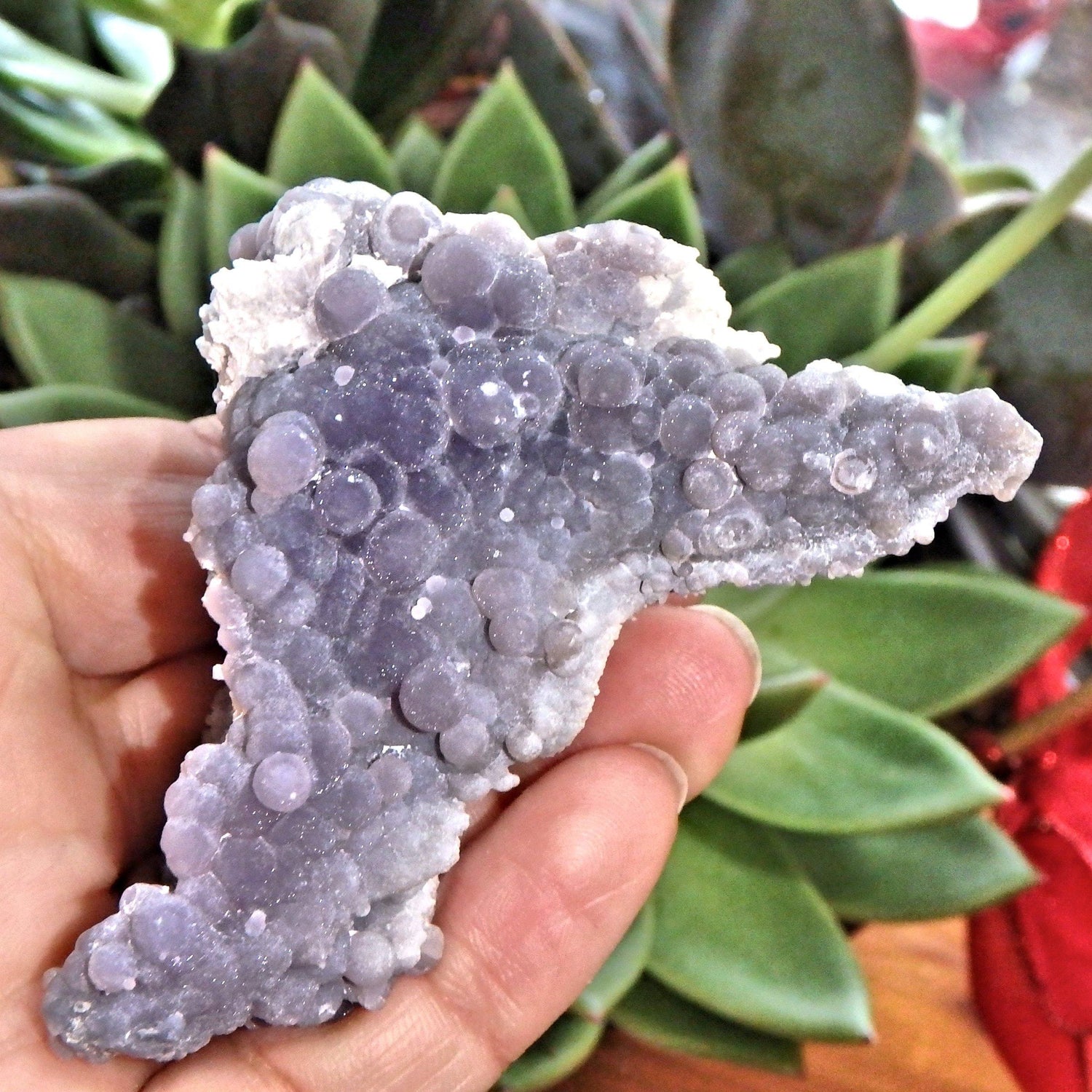  Deep Caves Frosty Purple & White Orbs Grape Agate From Indonesia