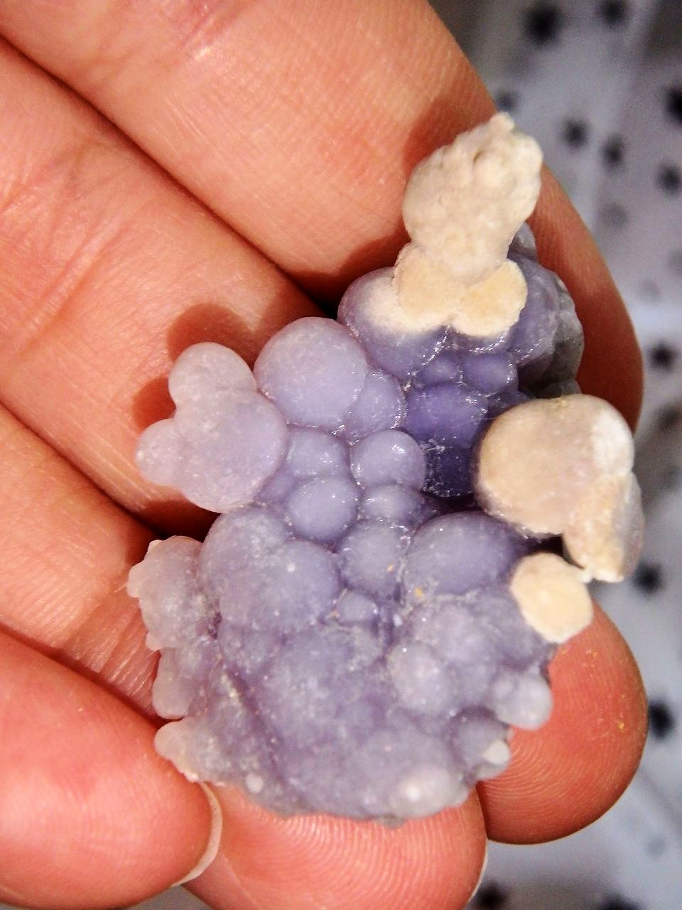 Hand Held Bytrodial Purple Grape Agate Specimen From Indonesia 1 - Earth Family Crystals