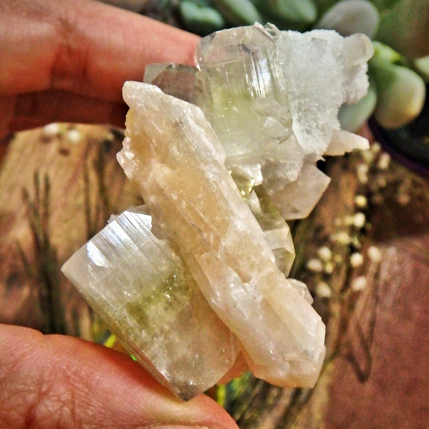Lovely Combo-Green Apophyllite, Pink Stilbite & Heulandite Cluster From India - Earth Family Crystals