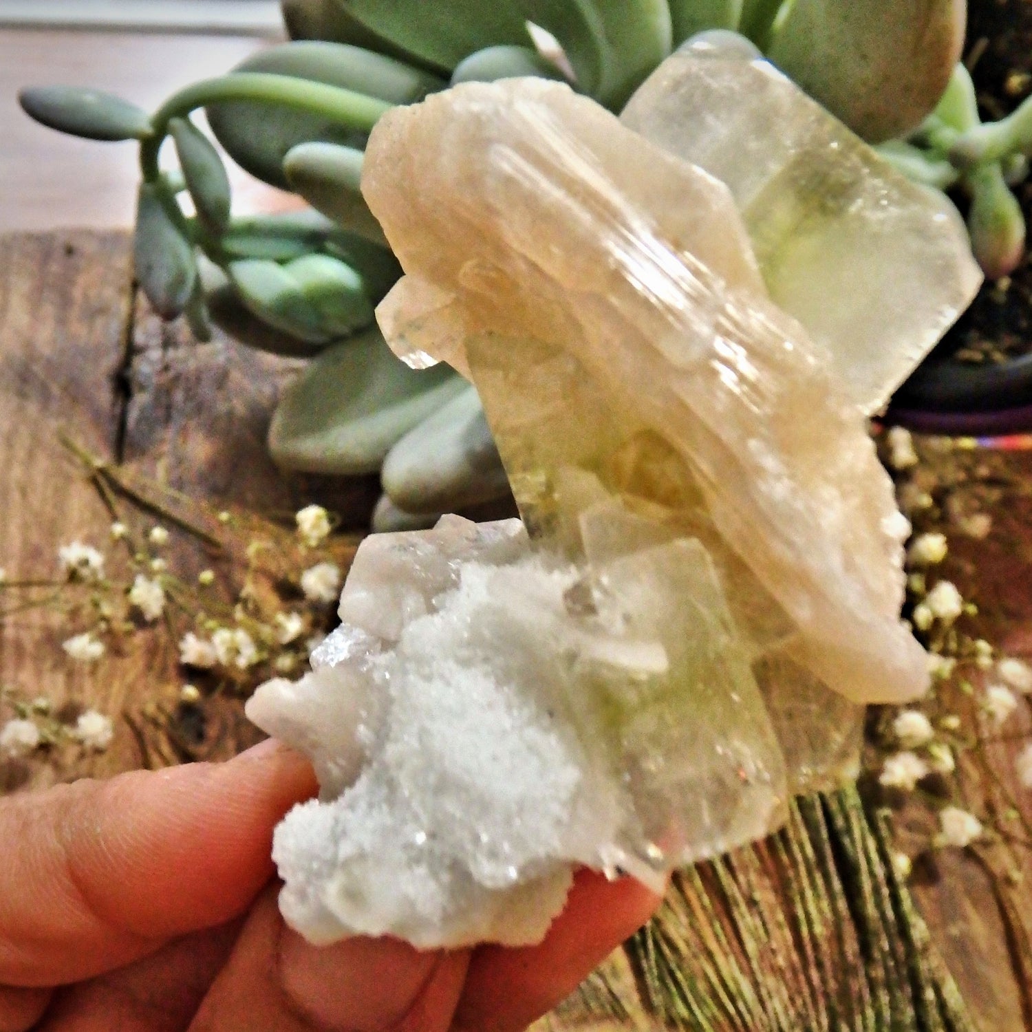 Lovely Combo-Green Apophyllite, Pink Stilbite & Heulandite Cluster From India - Earth Family Crystals