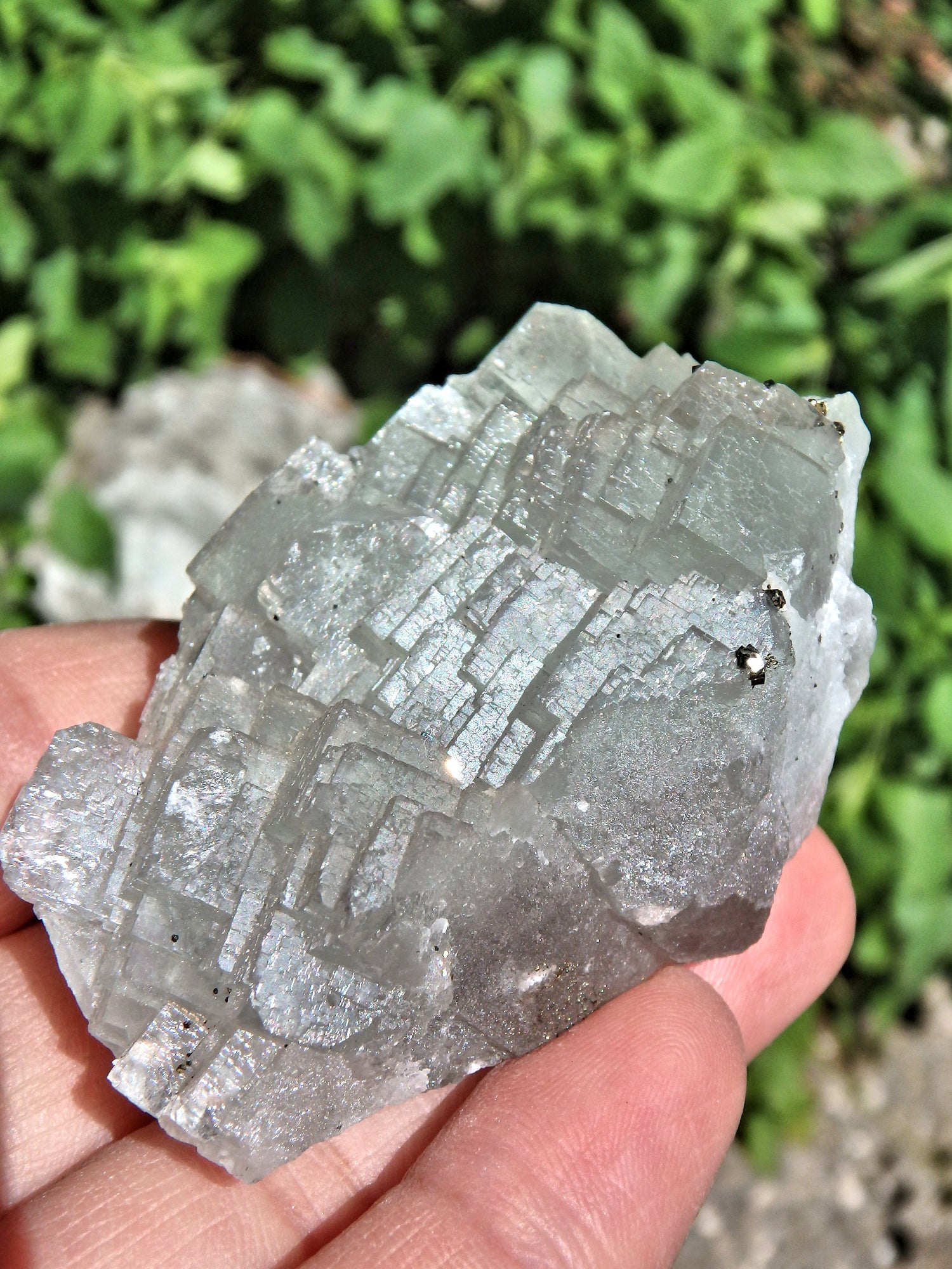 Mint Green Fluorite With Golden Pyrite Druzy Sprinkles - Earth Family Crystals