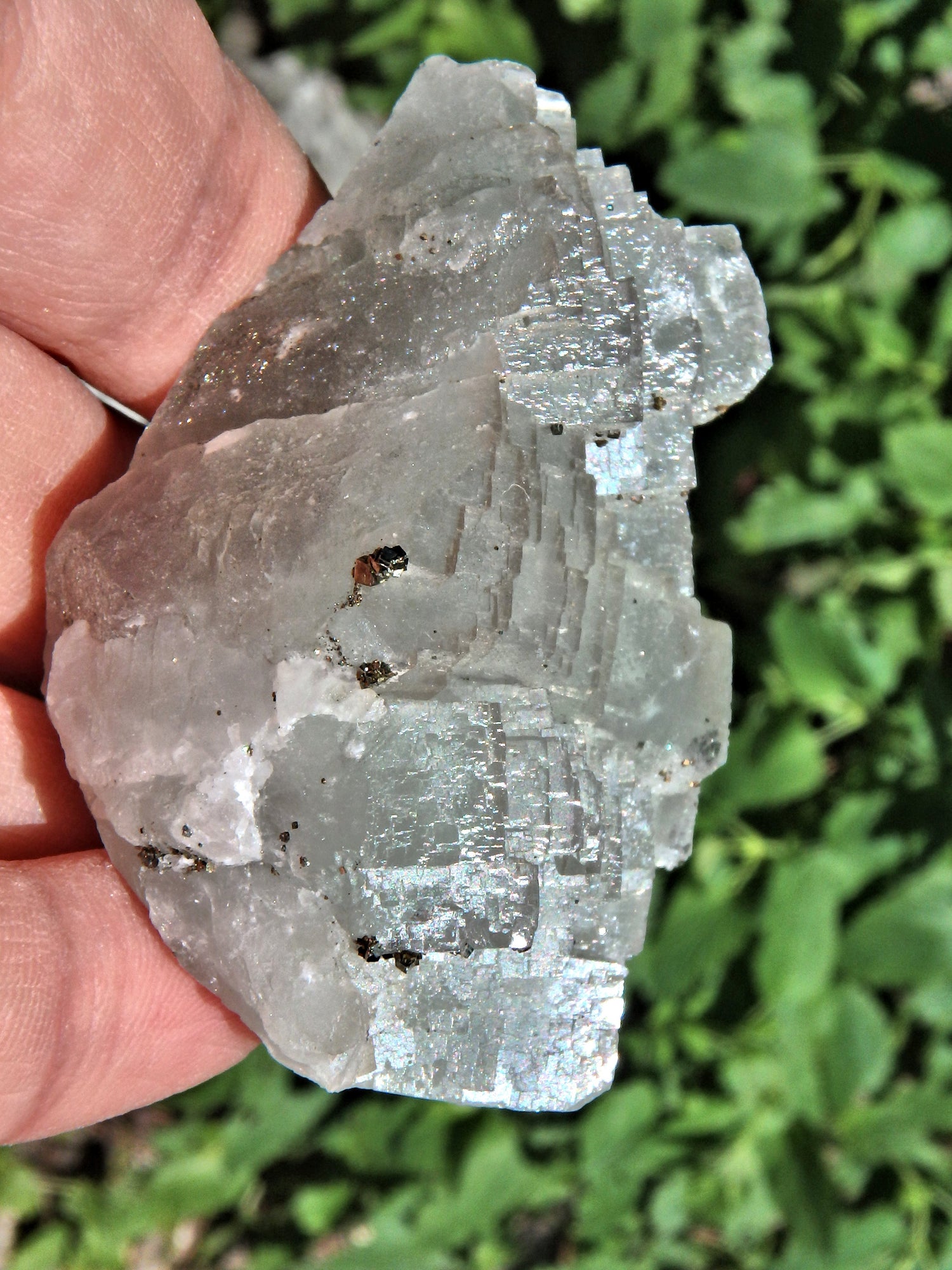 Mint Green Fluorite With Golden Pyrite Druzy Sprinkles - Earth Family Crystals