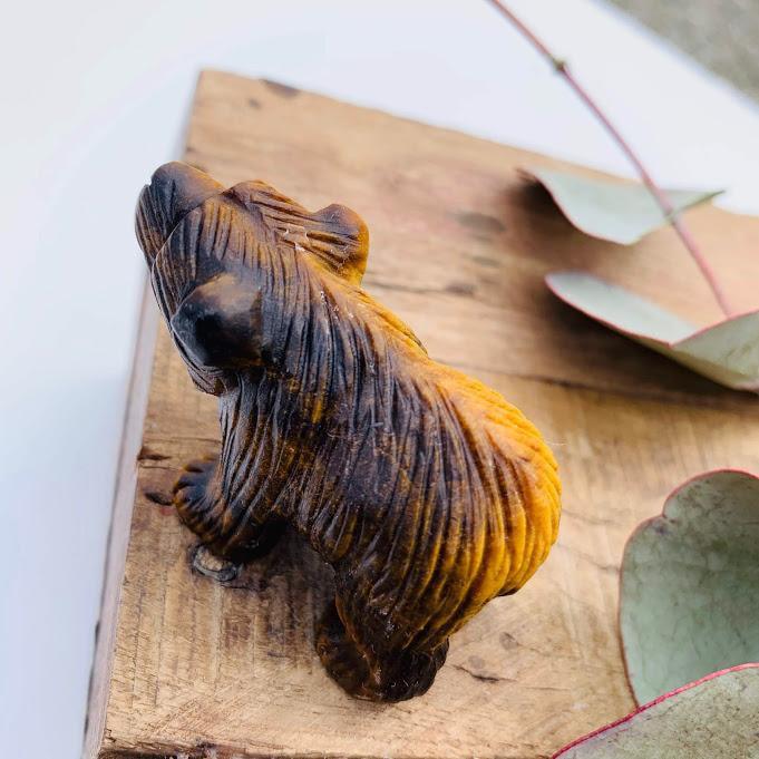  Adorable Tiger Eye Bear Display Carving