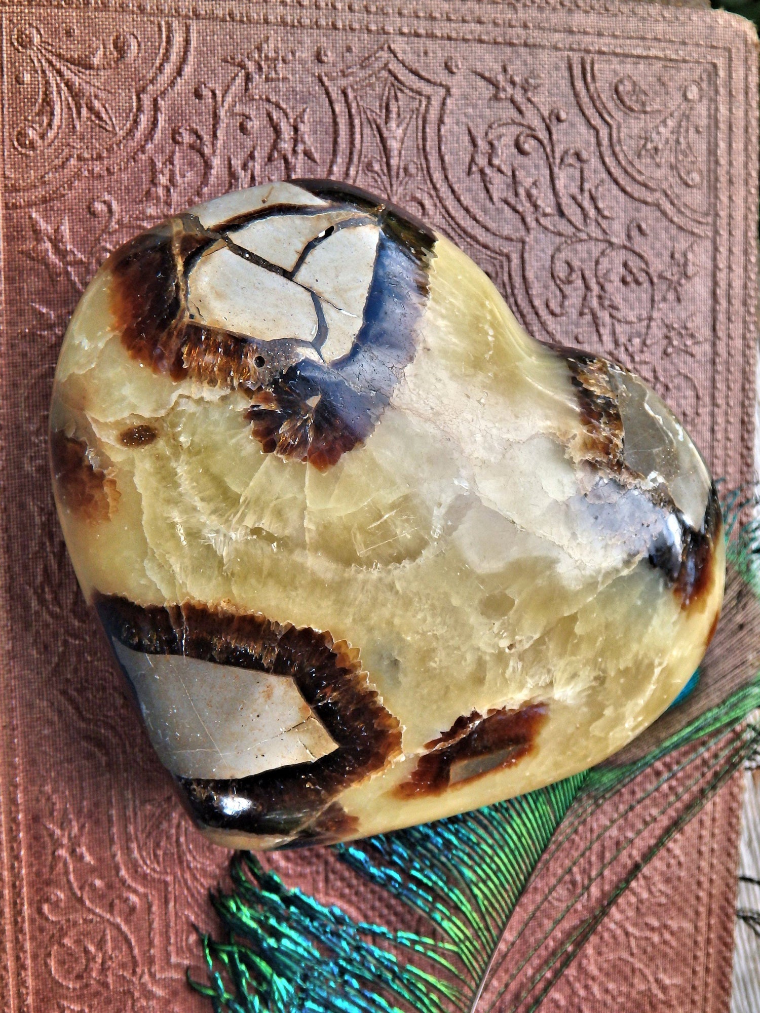  Dragon Heart Septarian Carving From Madagascar
