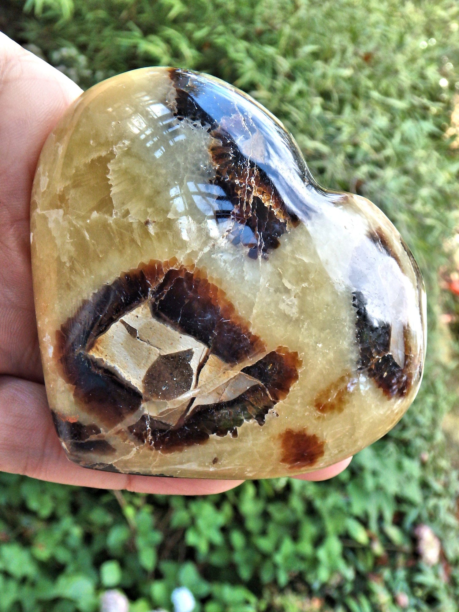  Dragon Heart Septarian Carving From Madagascar