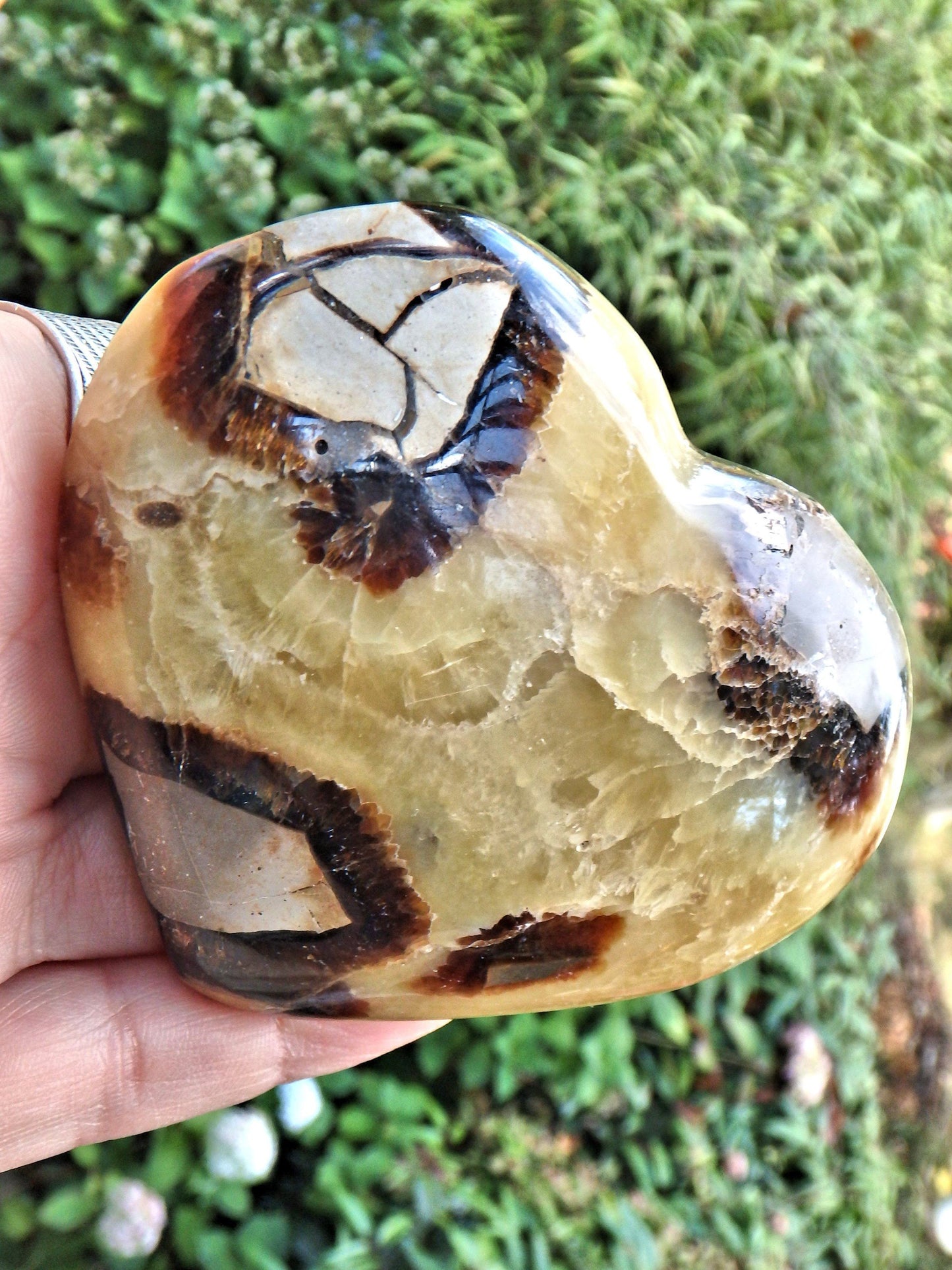  Dragon Heart Septarian Carving From Madagascar